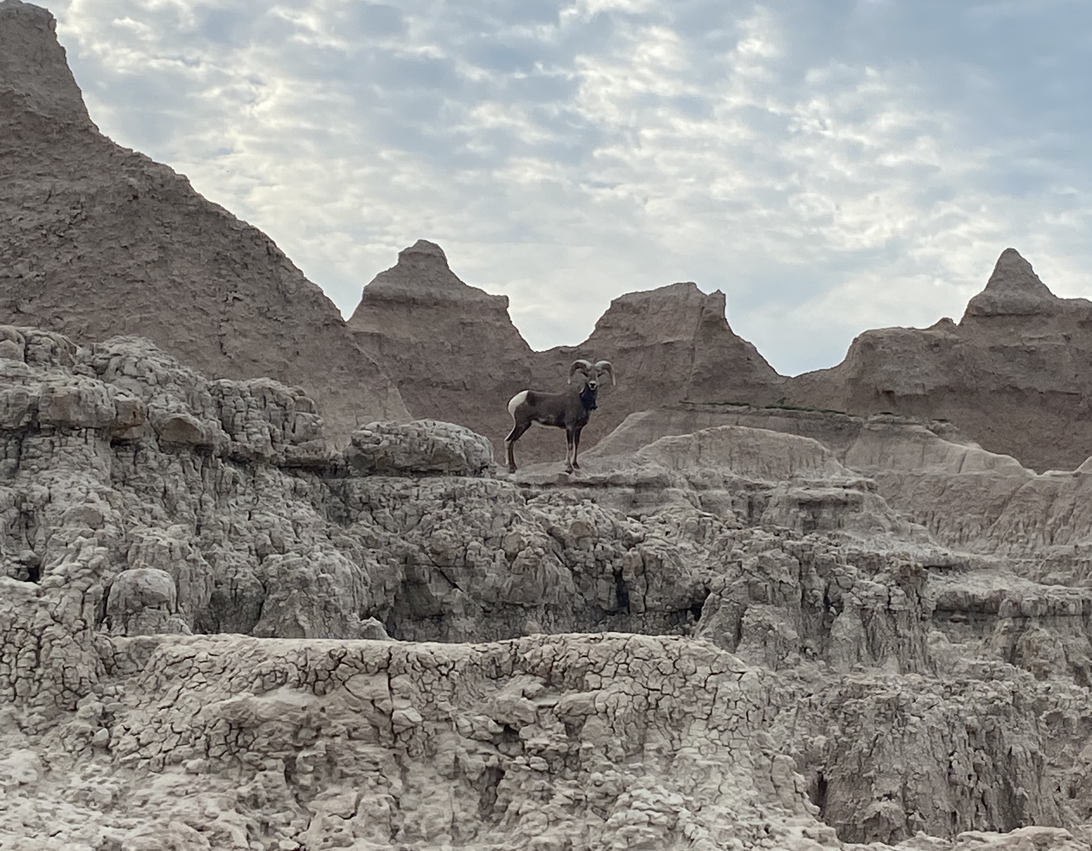 Photo 19 of Badlands