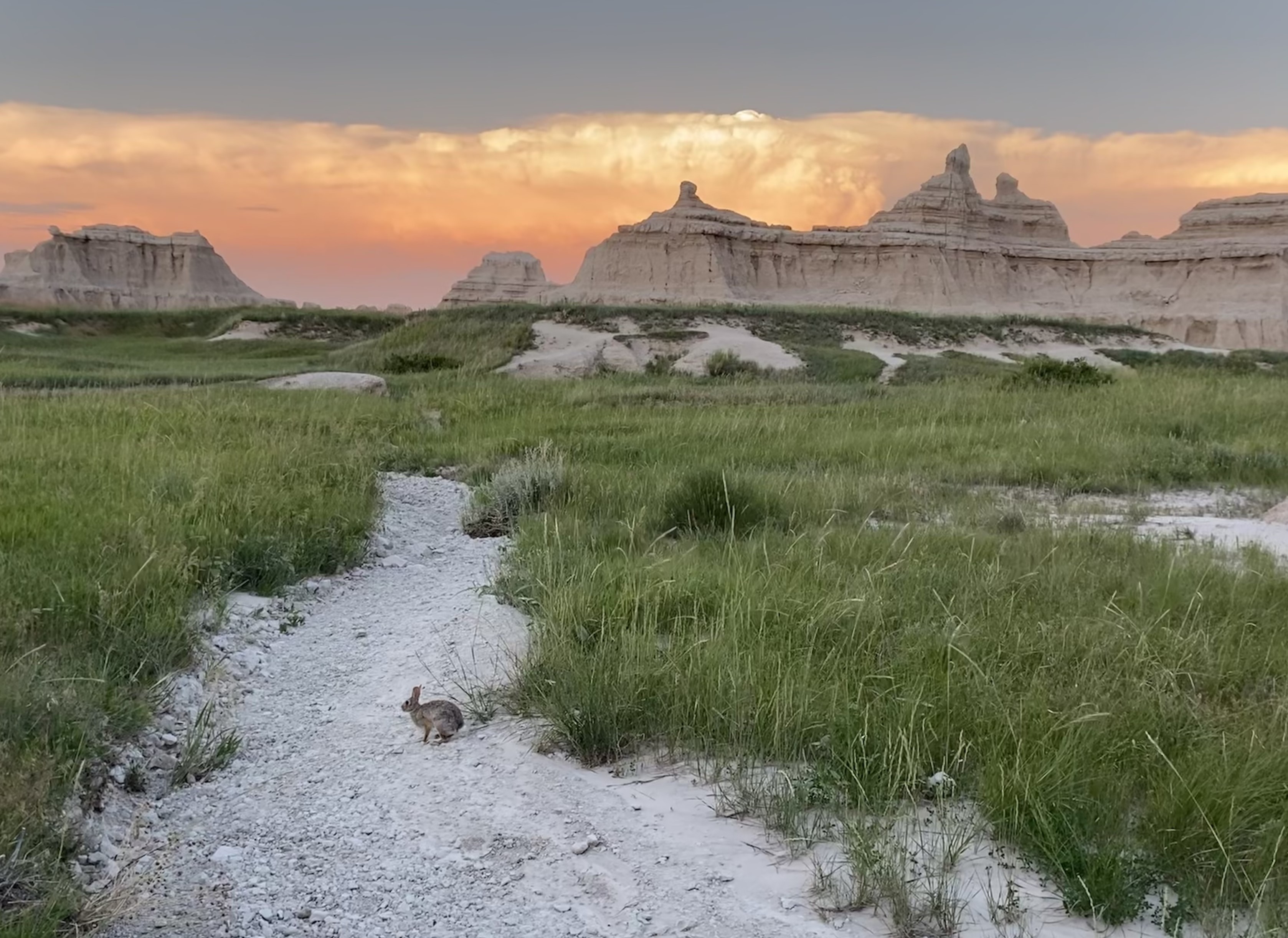 Photo 6 of Badlands