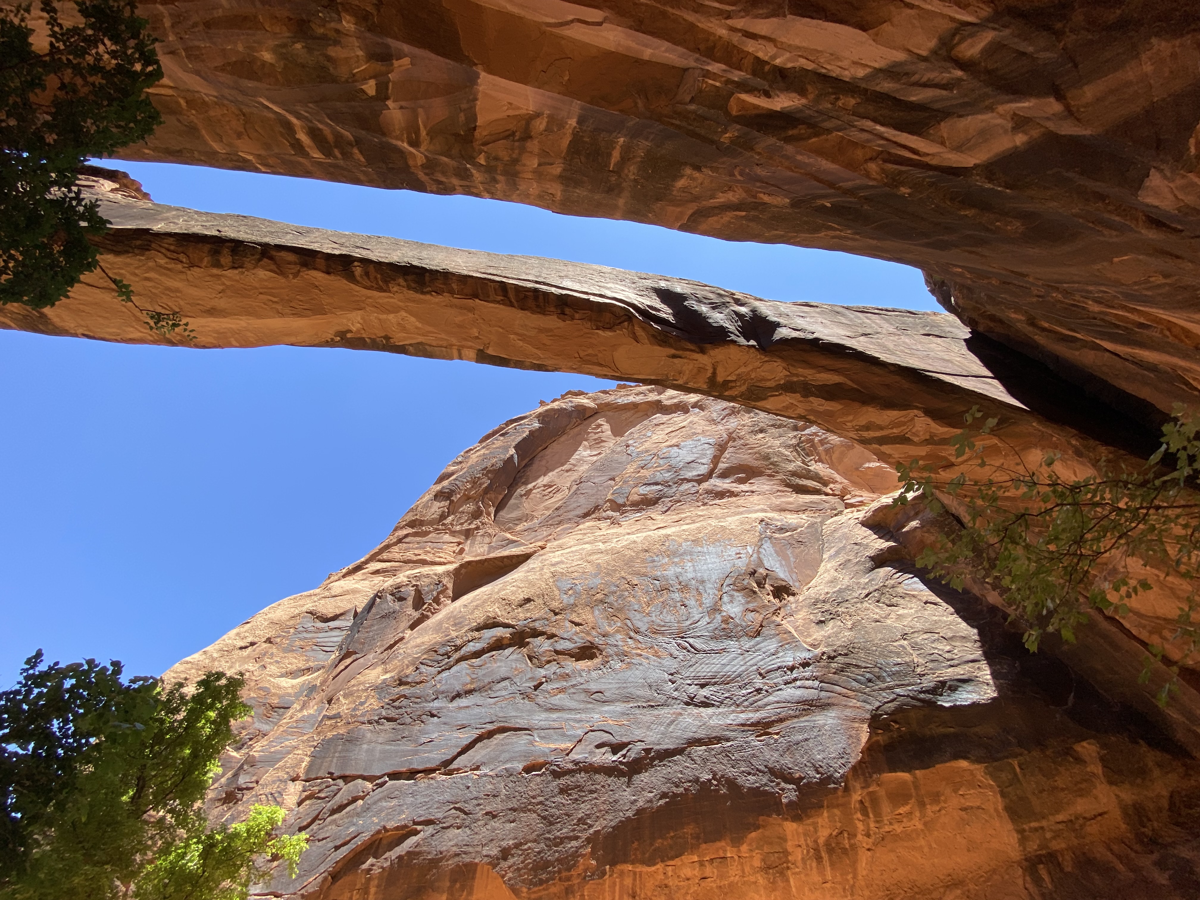 Photo 10 of Canyonlands
