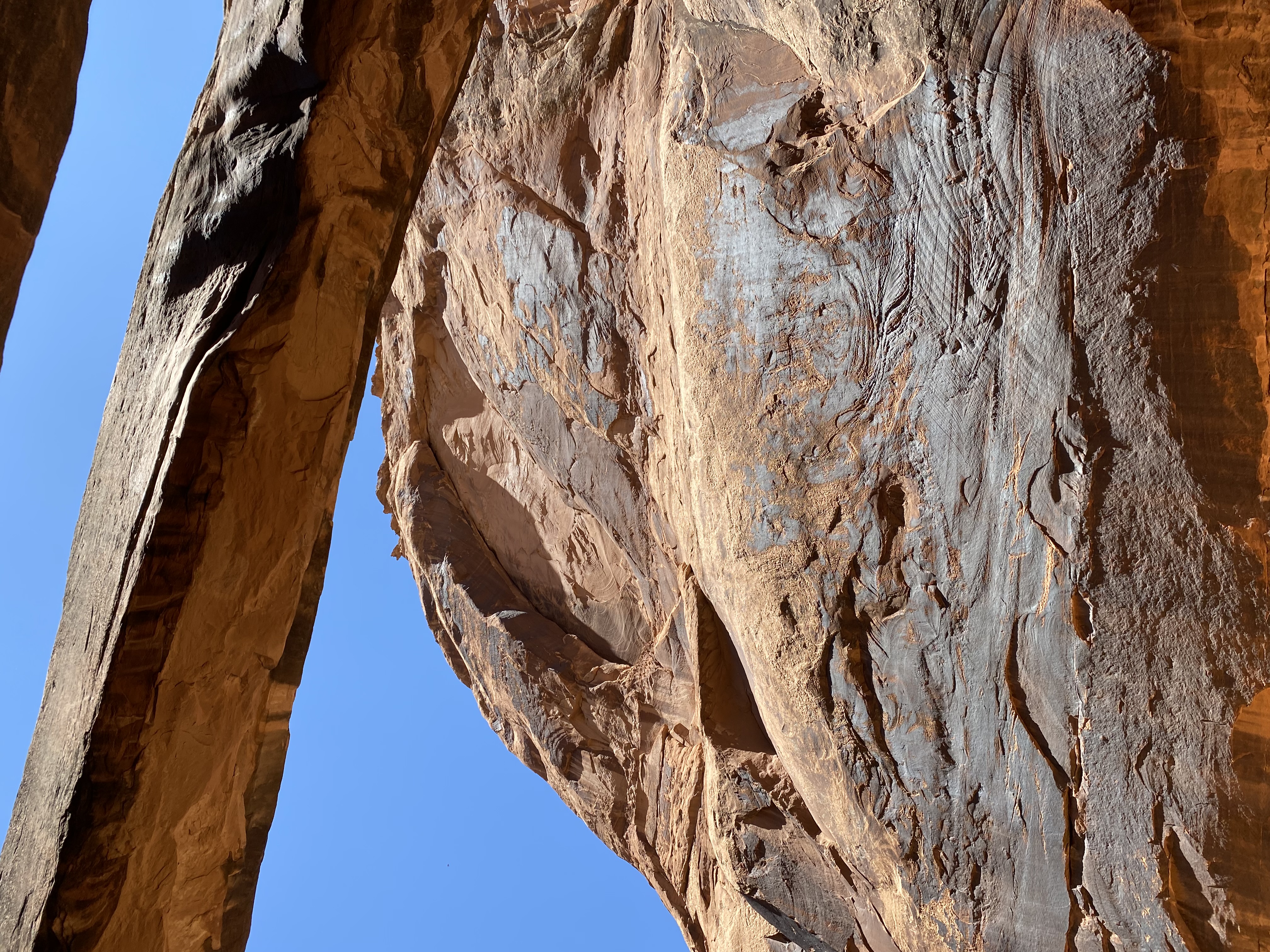 Photo 12 of Canyonlands