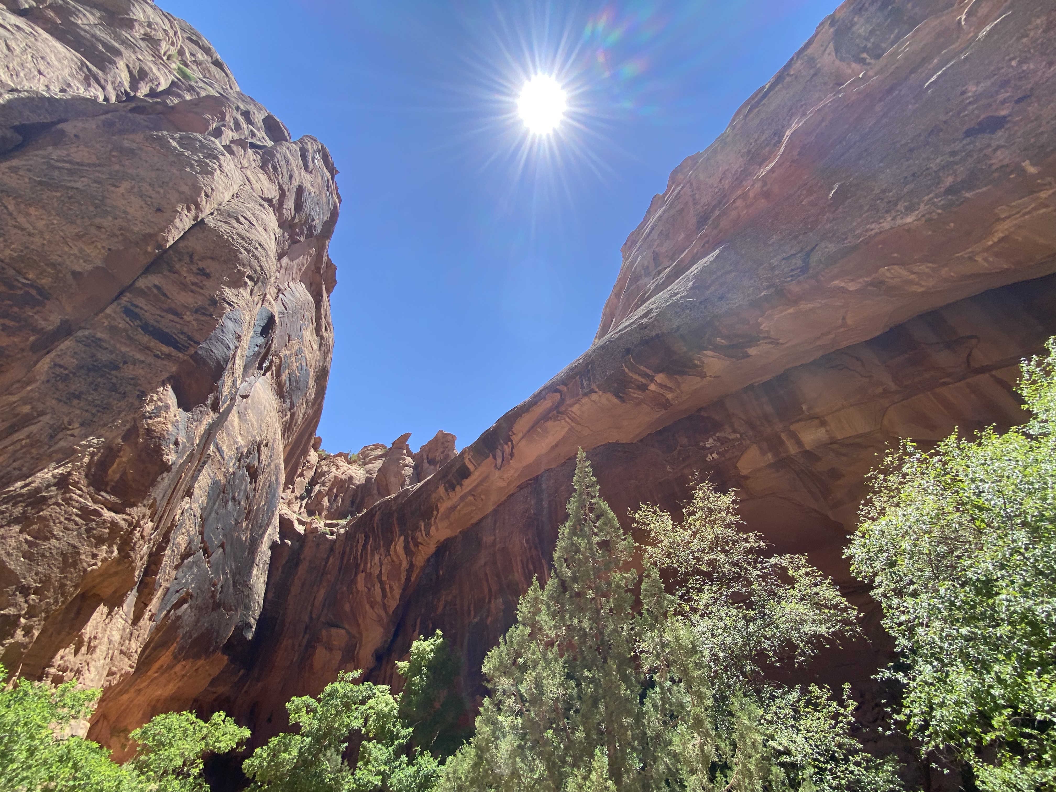 Photo 2 of Canyonlands