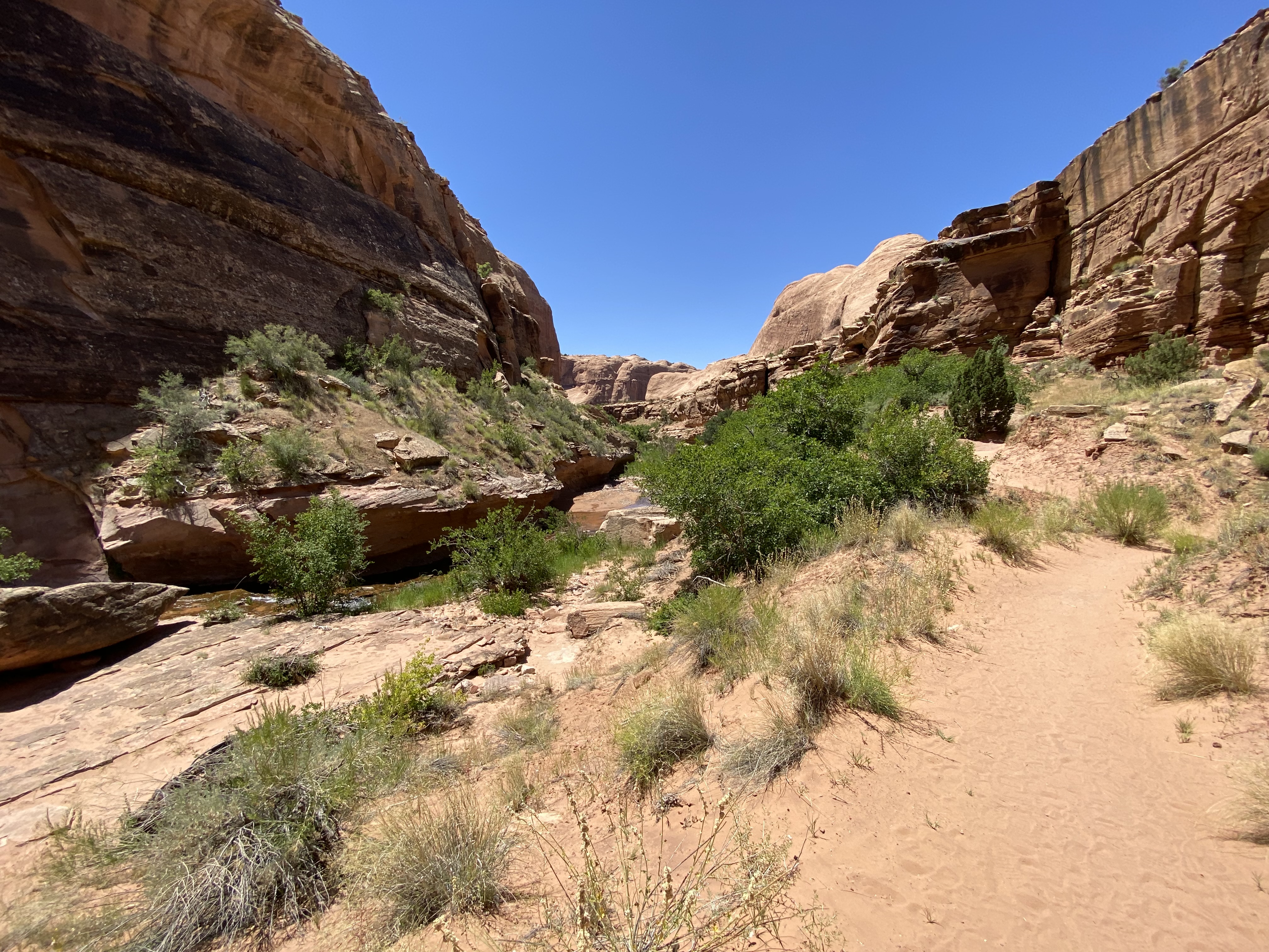 Photo 3 of Canyonlands