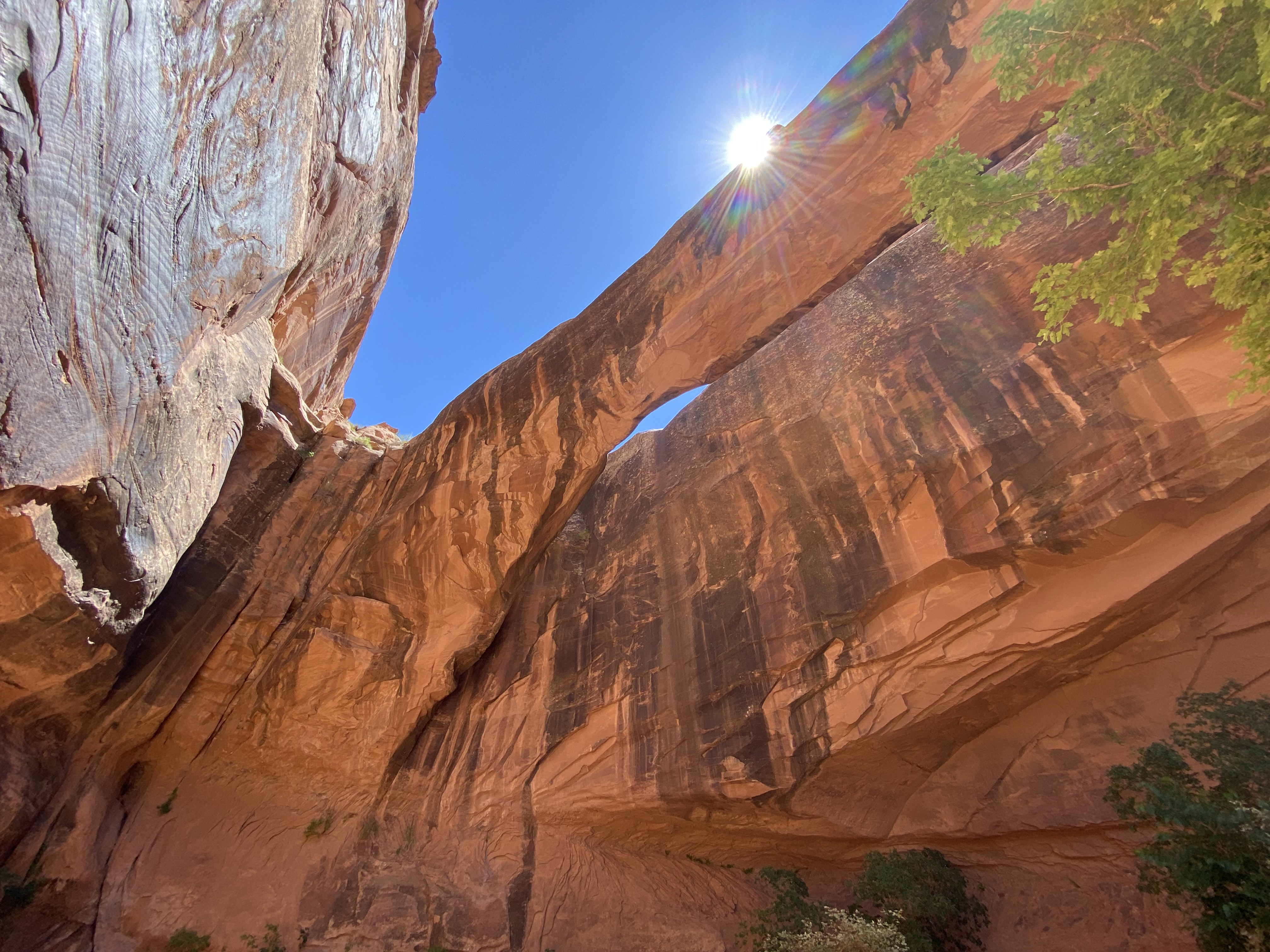 Photo 7 of Canyonlands