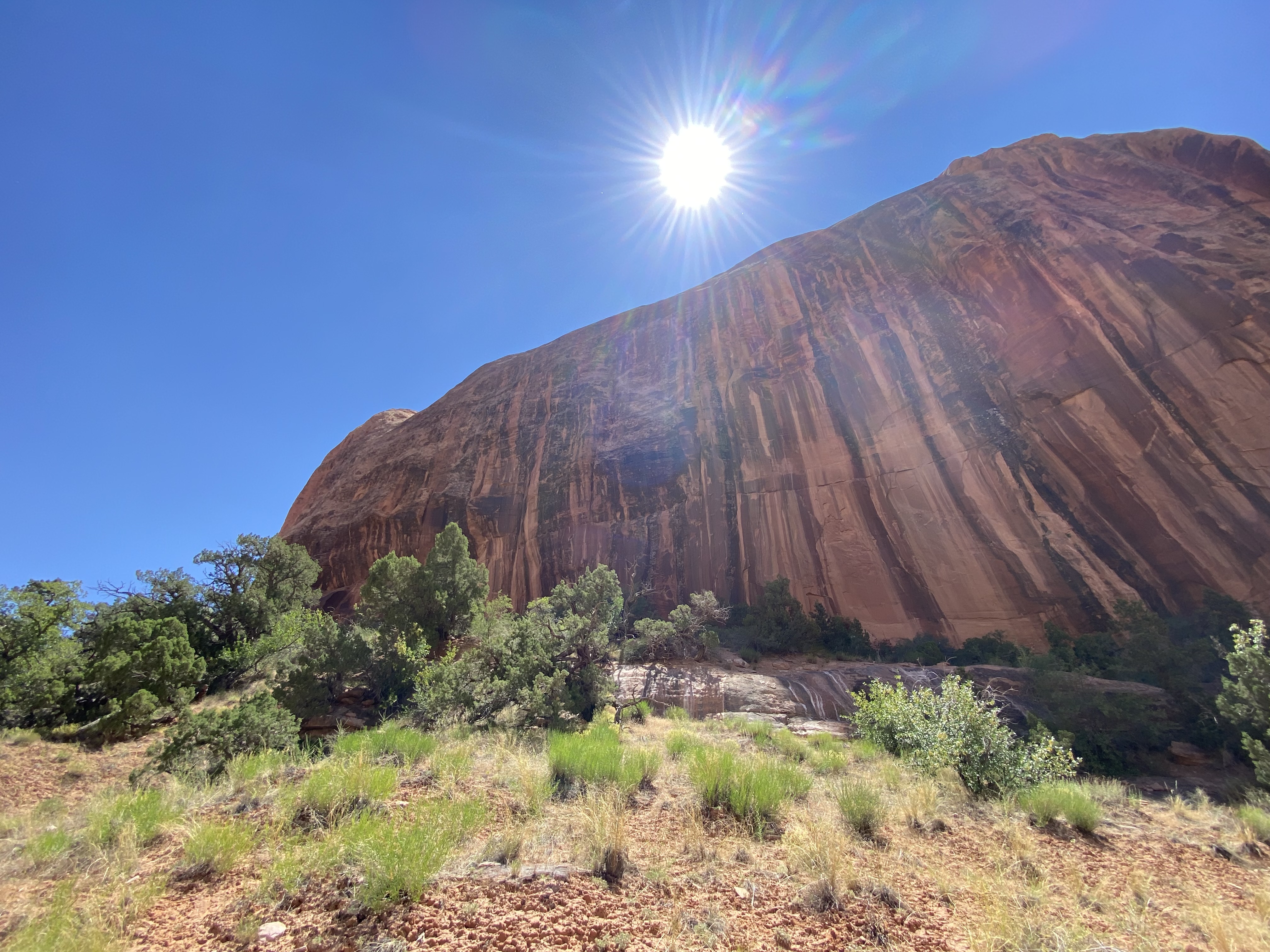 Photo 8 of Canyonlands