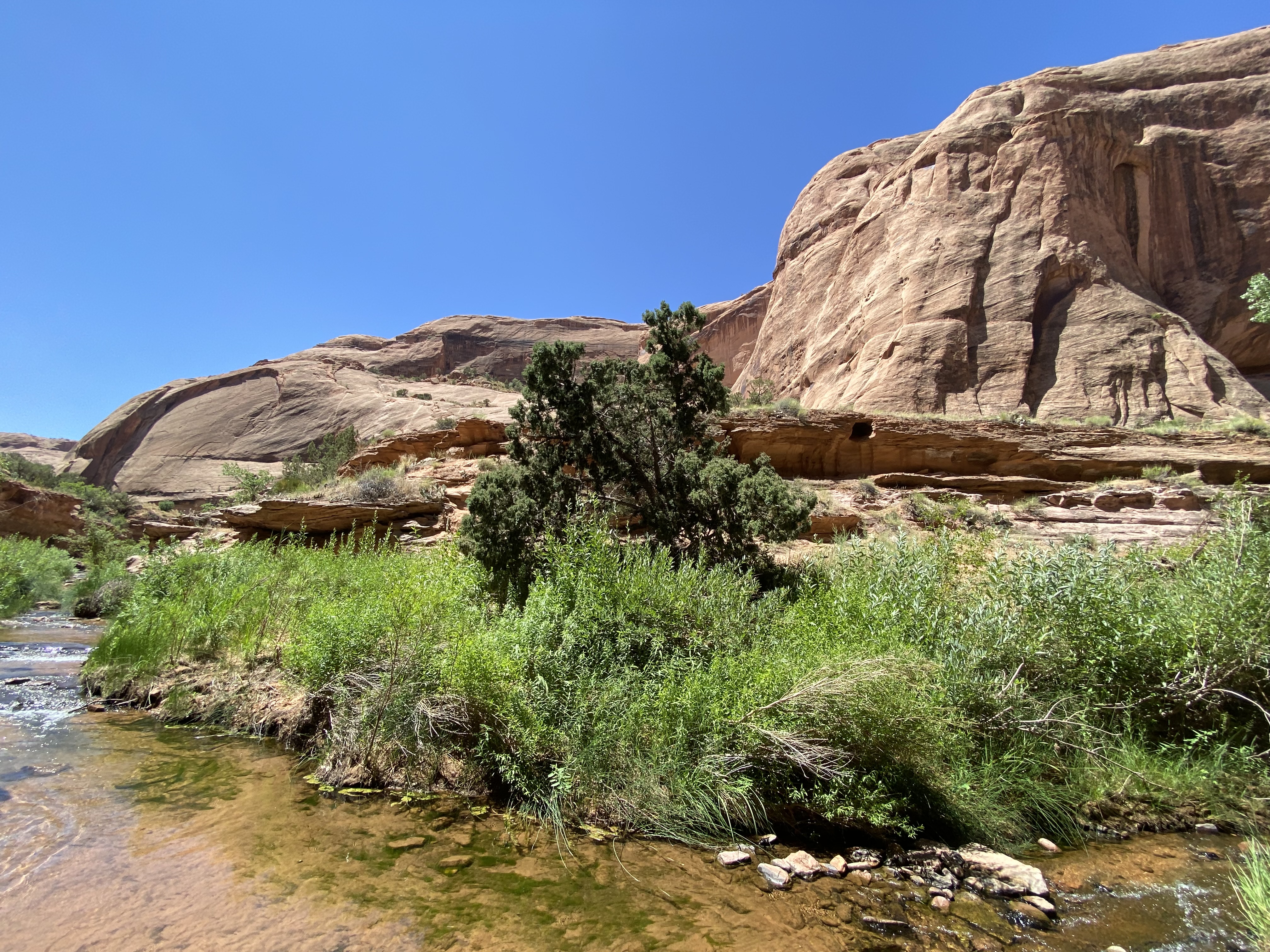 Photo 9 of Canyonlands