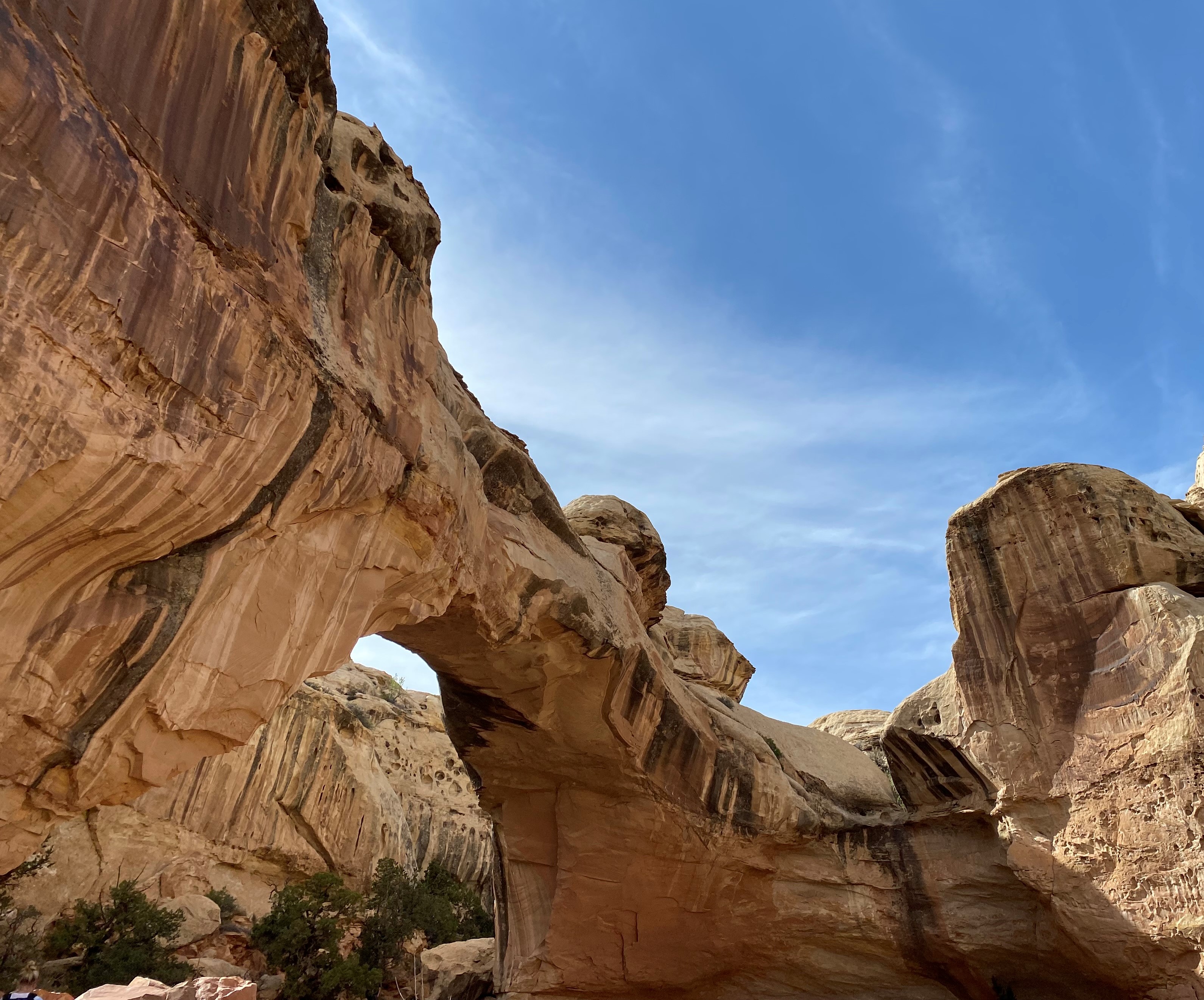 Photo 1 of Capitol Reef