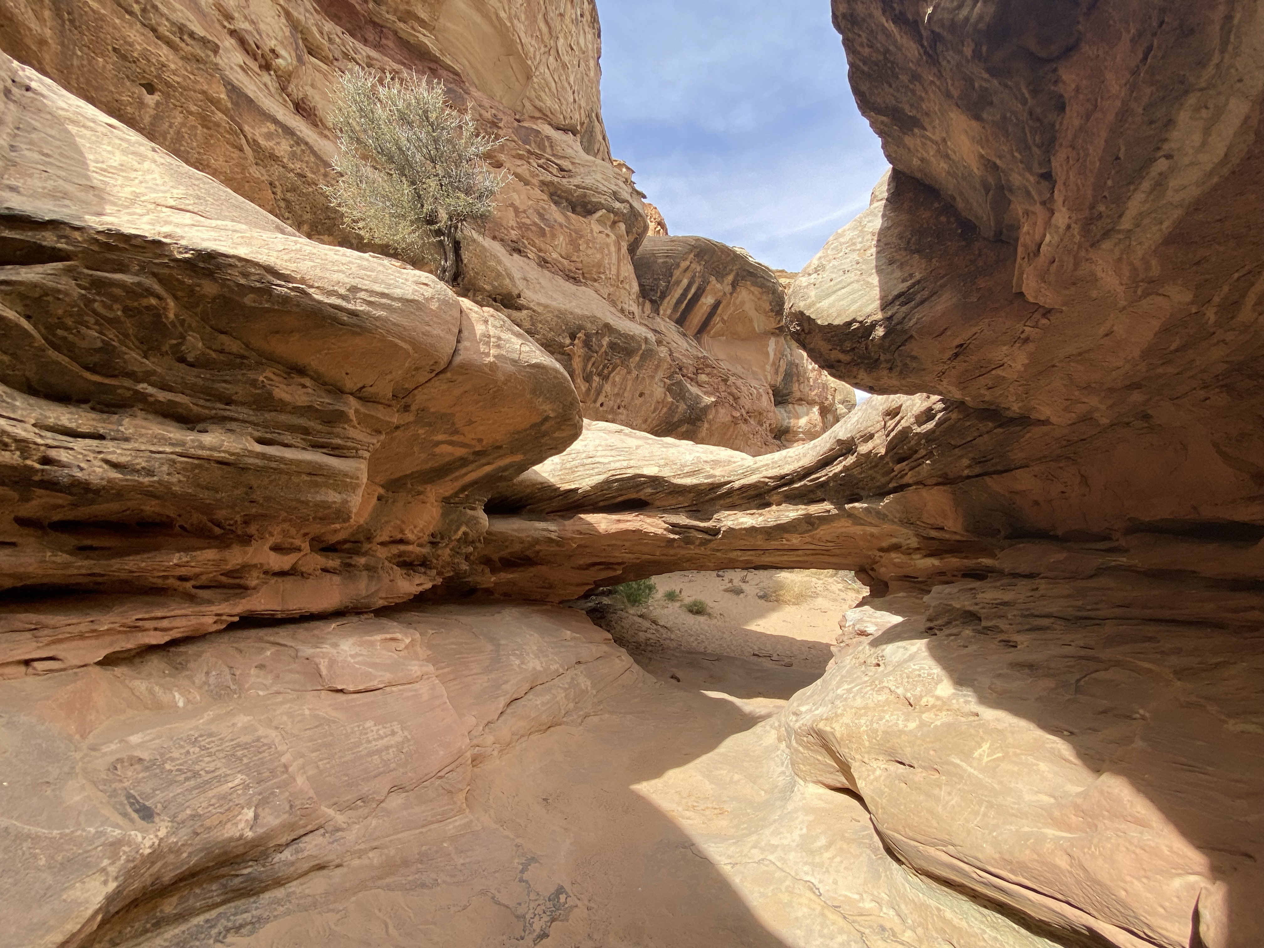 Photo 2 of Capitol Reef