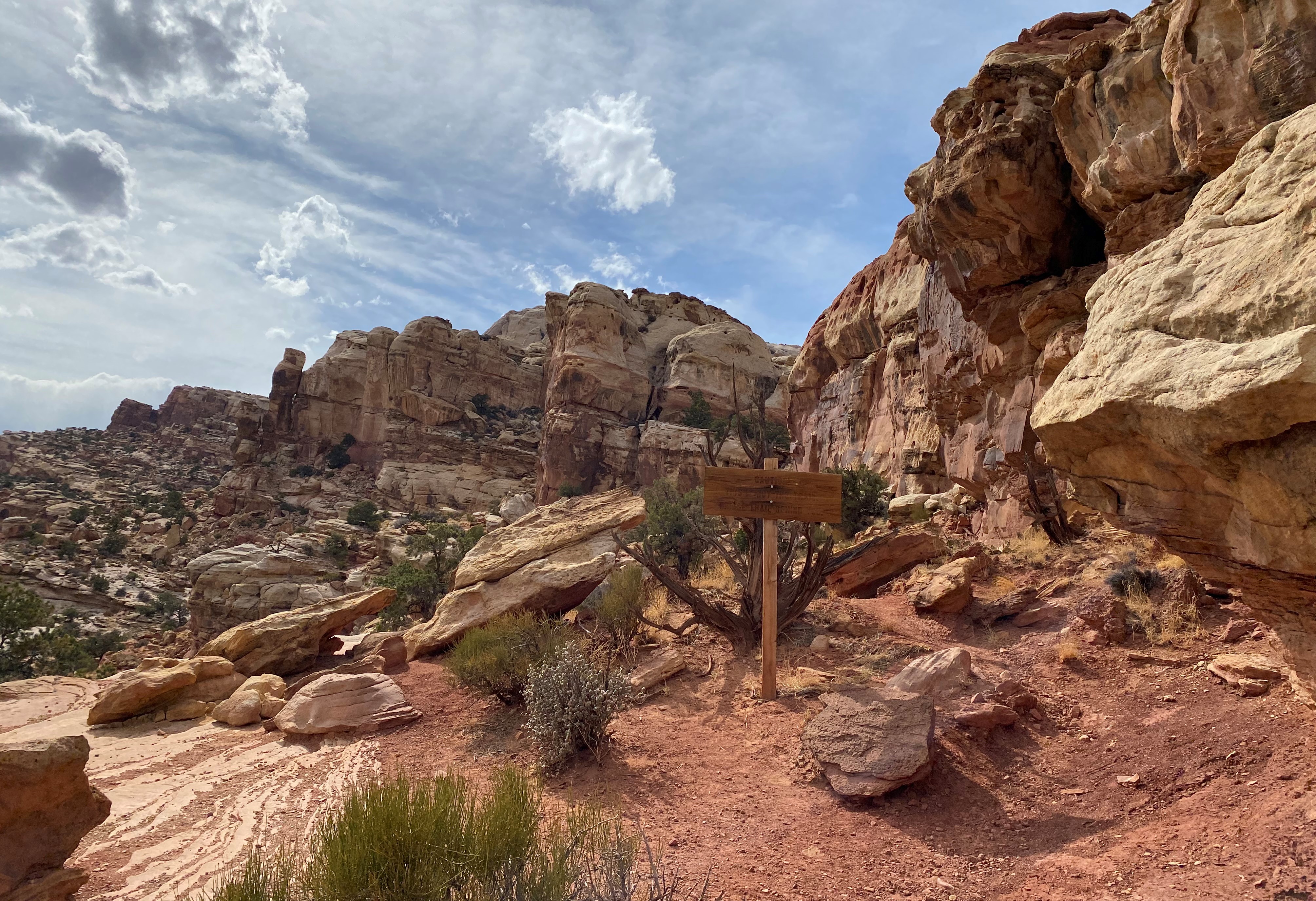 Photo 3 of Capitol Reef