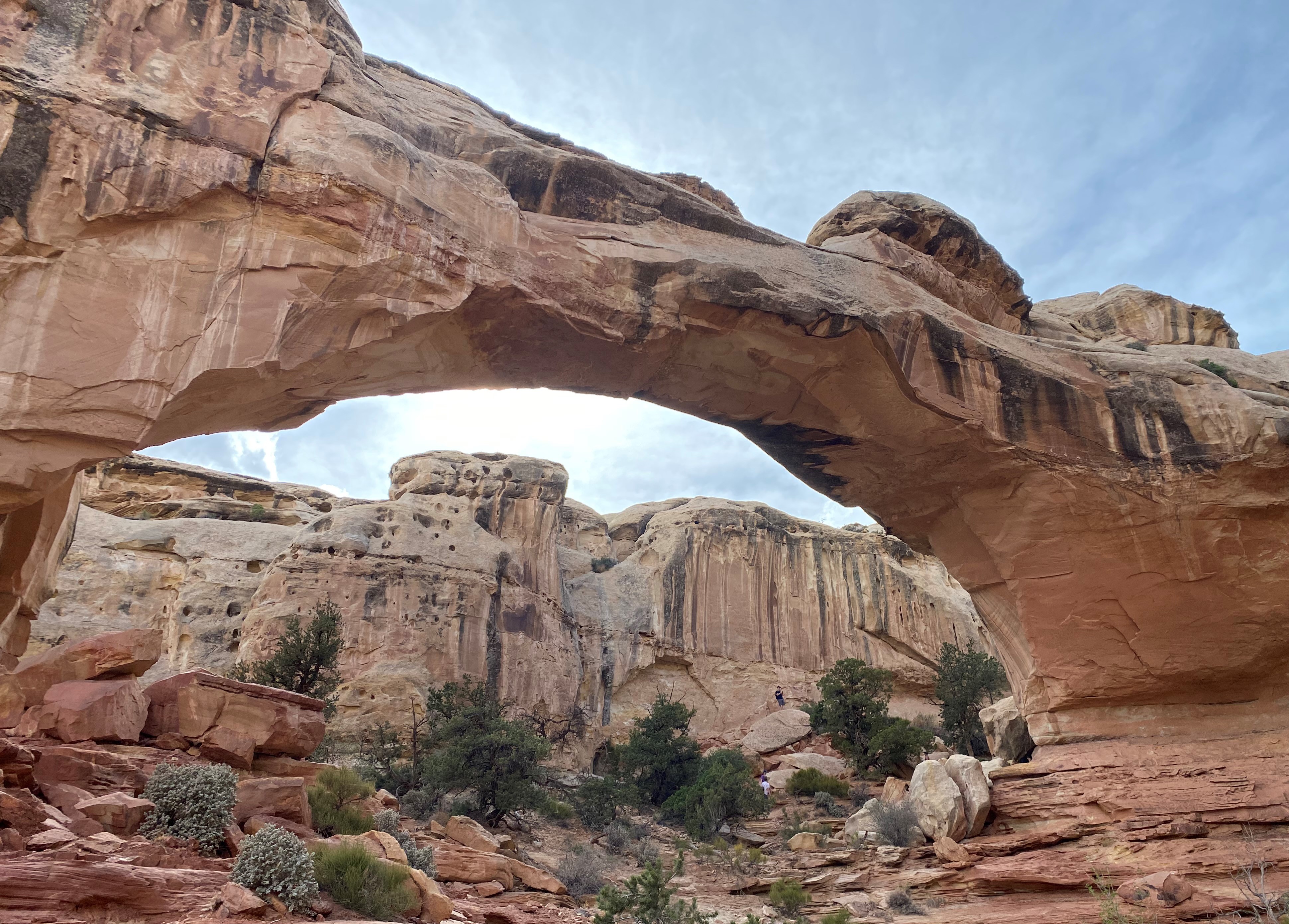 Photo 4 of Capitol Reef