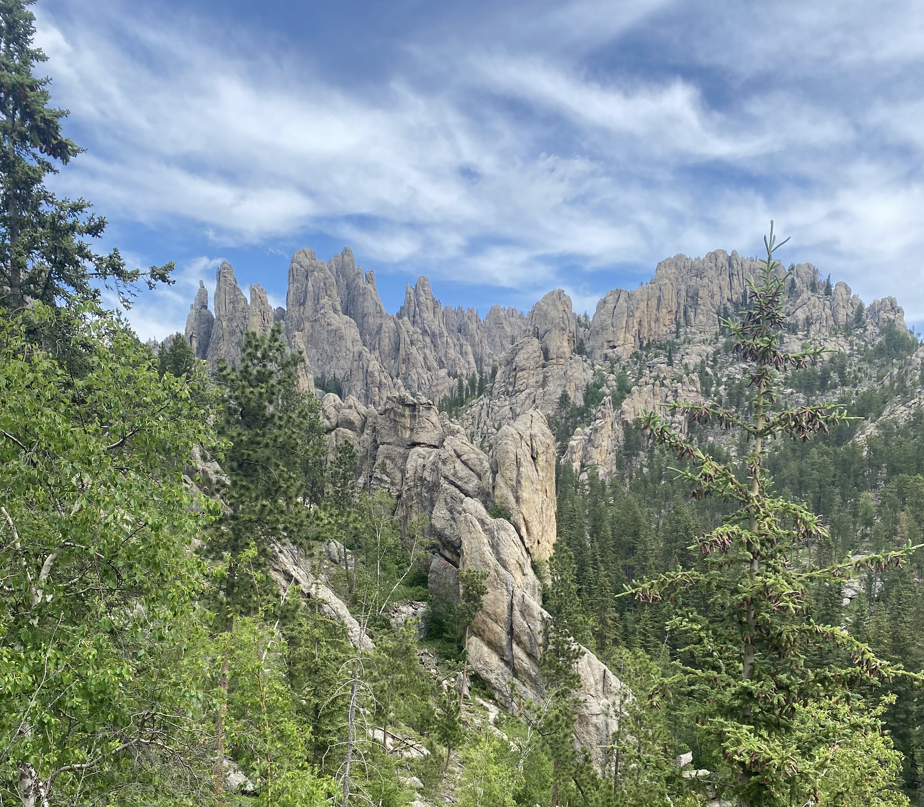 Photo 2 of Custer