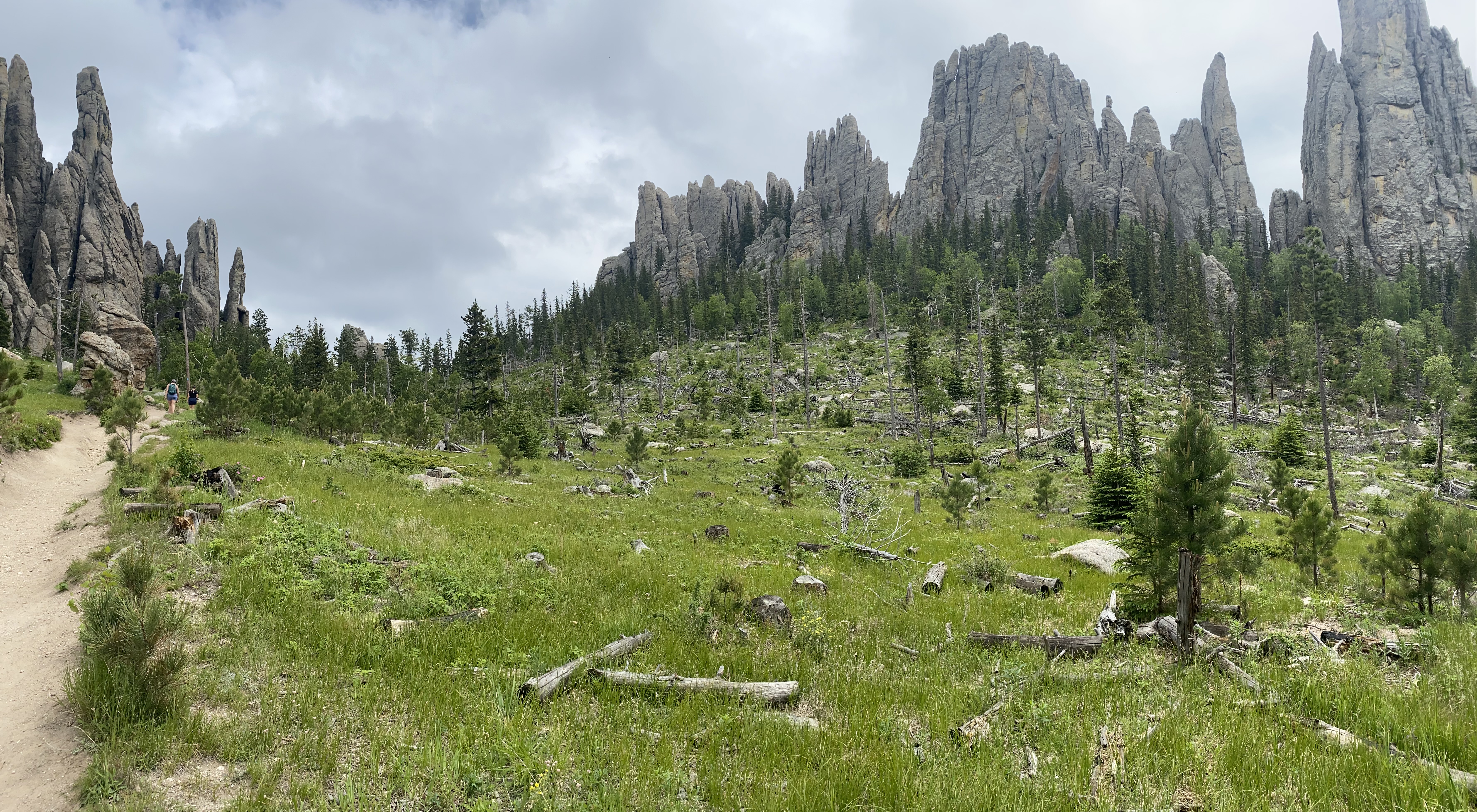 Photo 3 of Custer