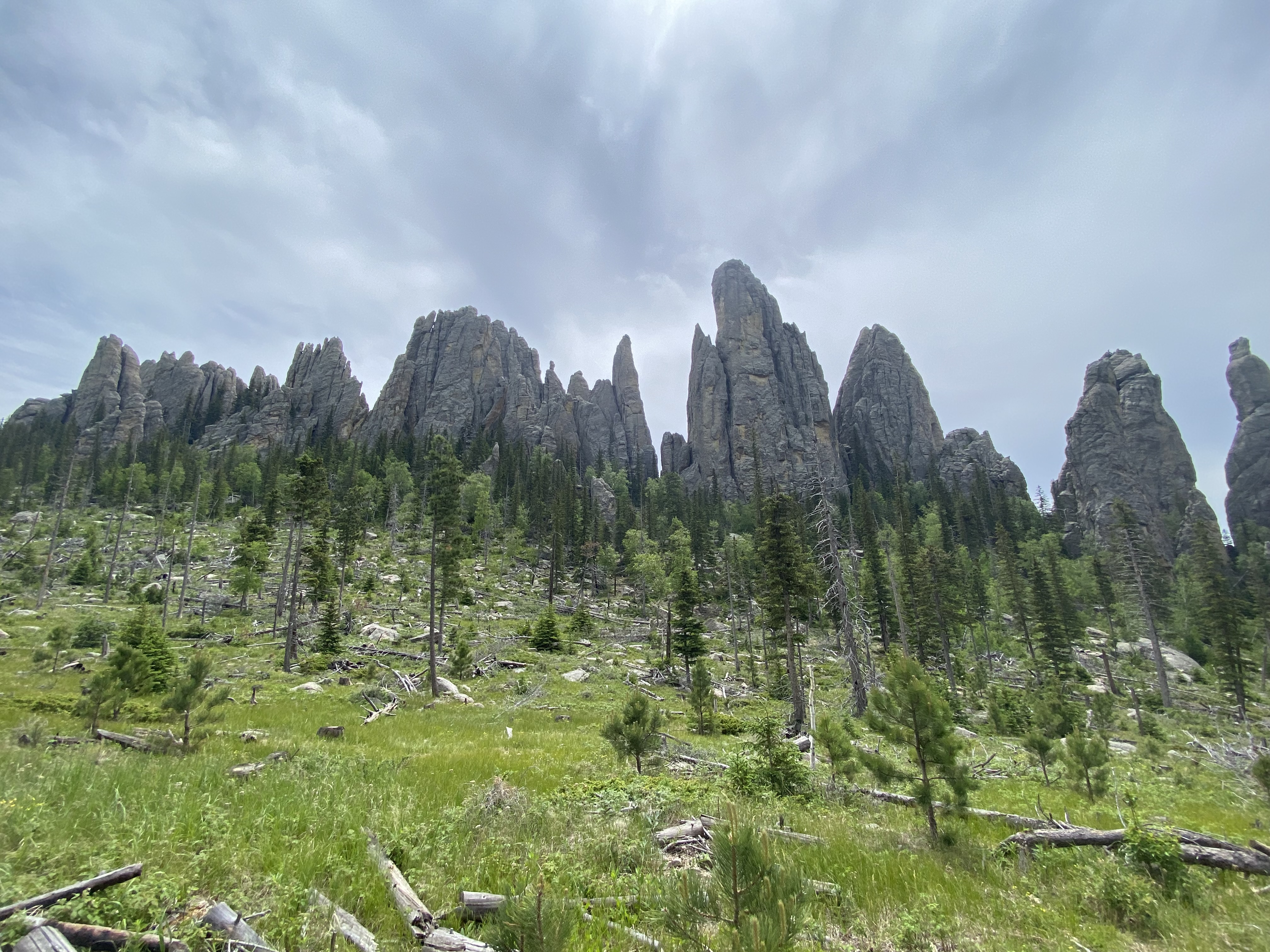 Photo 6 of Custer