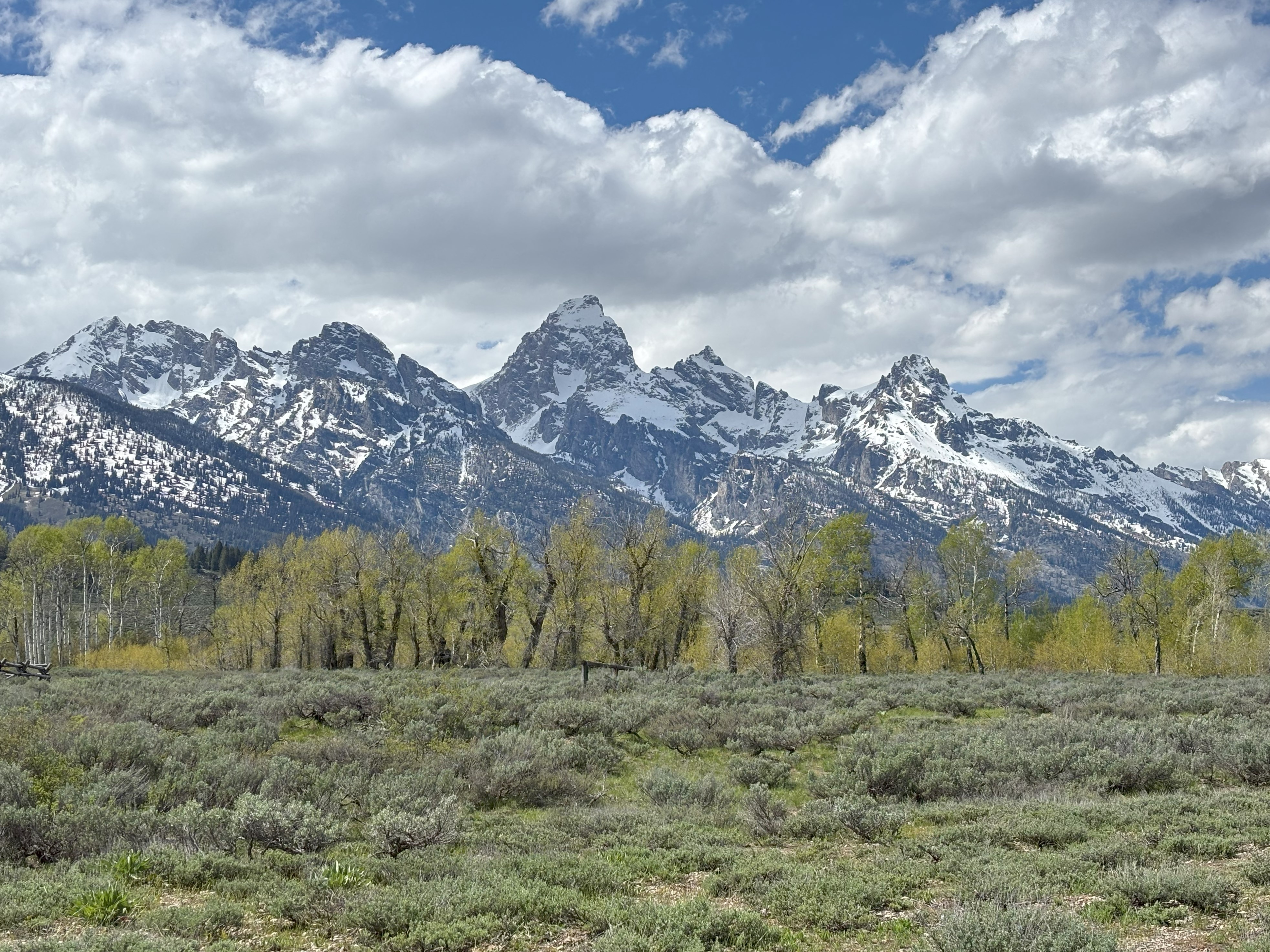 Photo 11 of Grand Teton