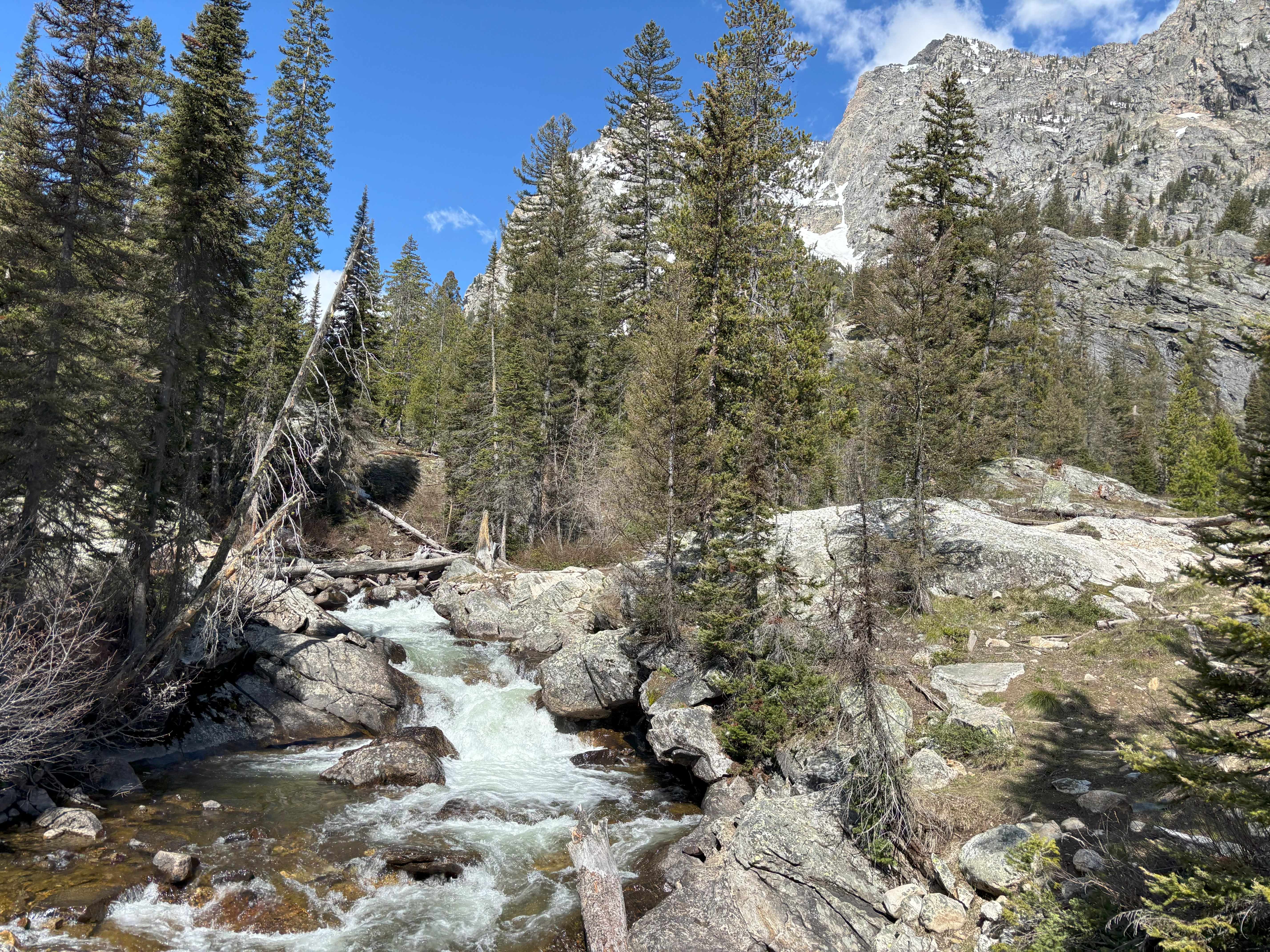 Photo 4 of Grand Teton