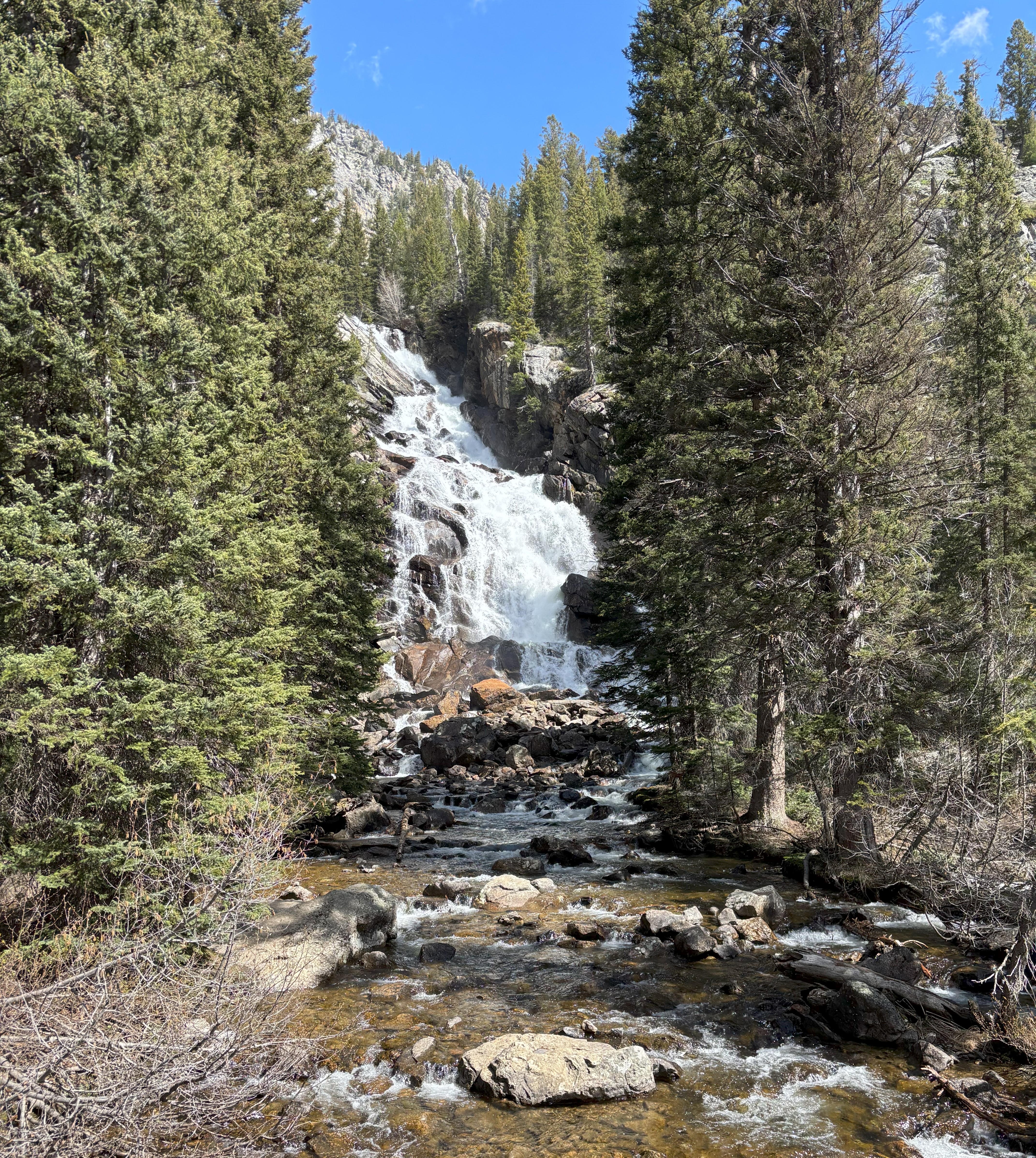 Photo 7 of Grand Teton