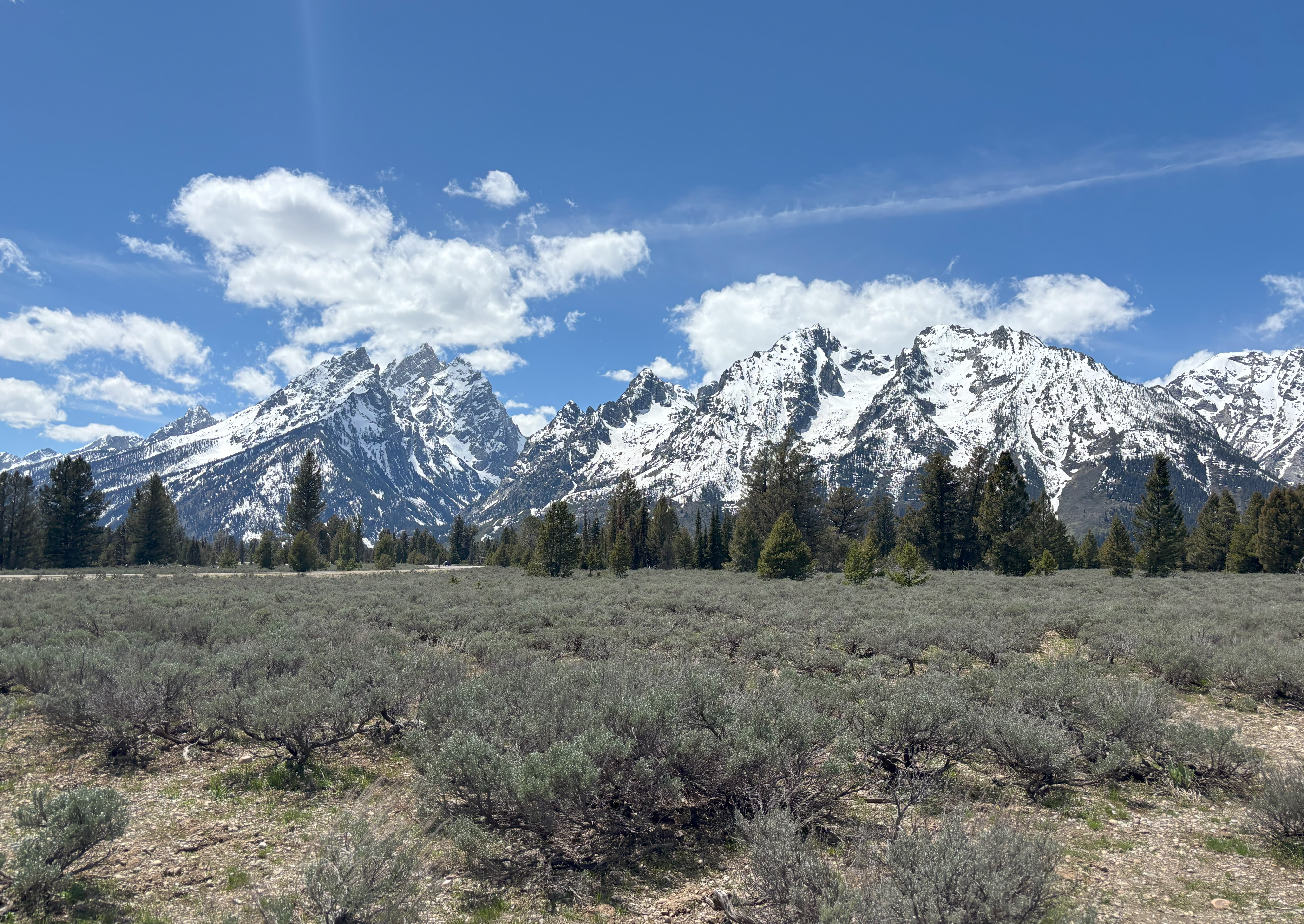 Photo 8 of Grand Teton