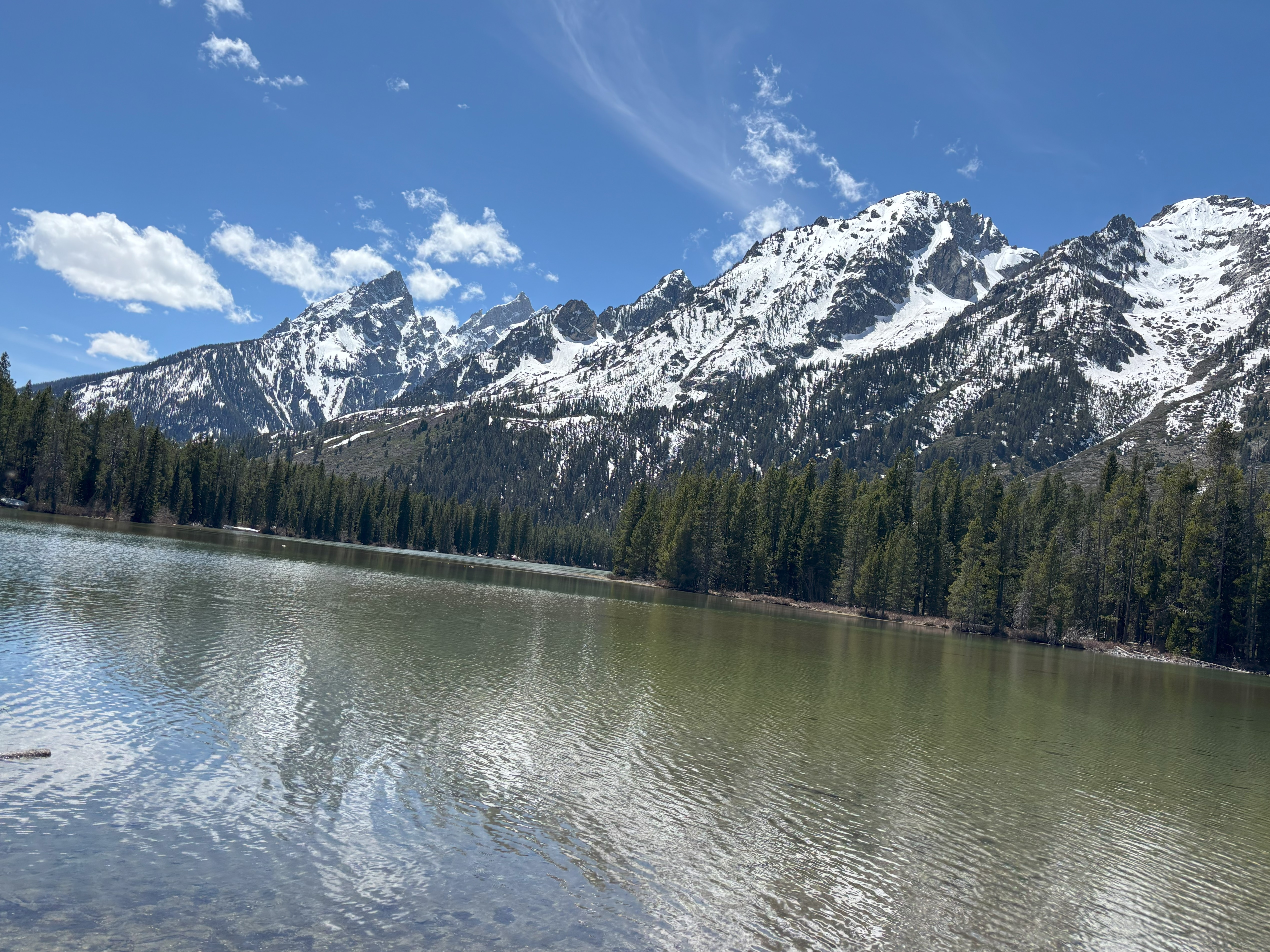 Photo 9 of Grand Teton
