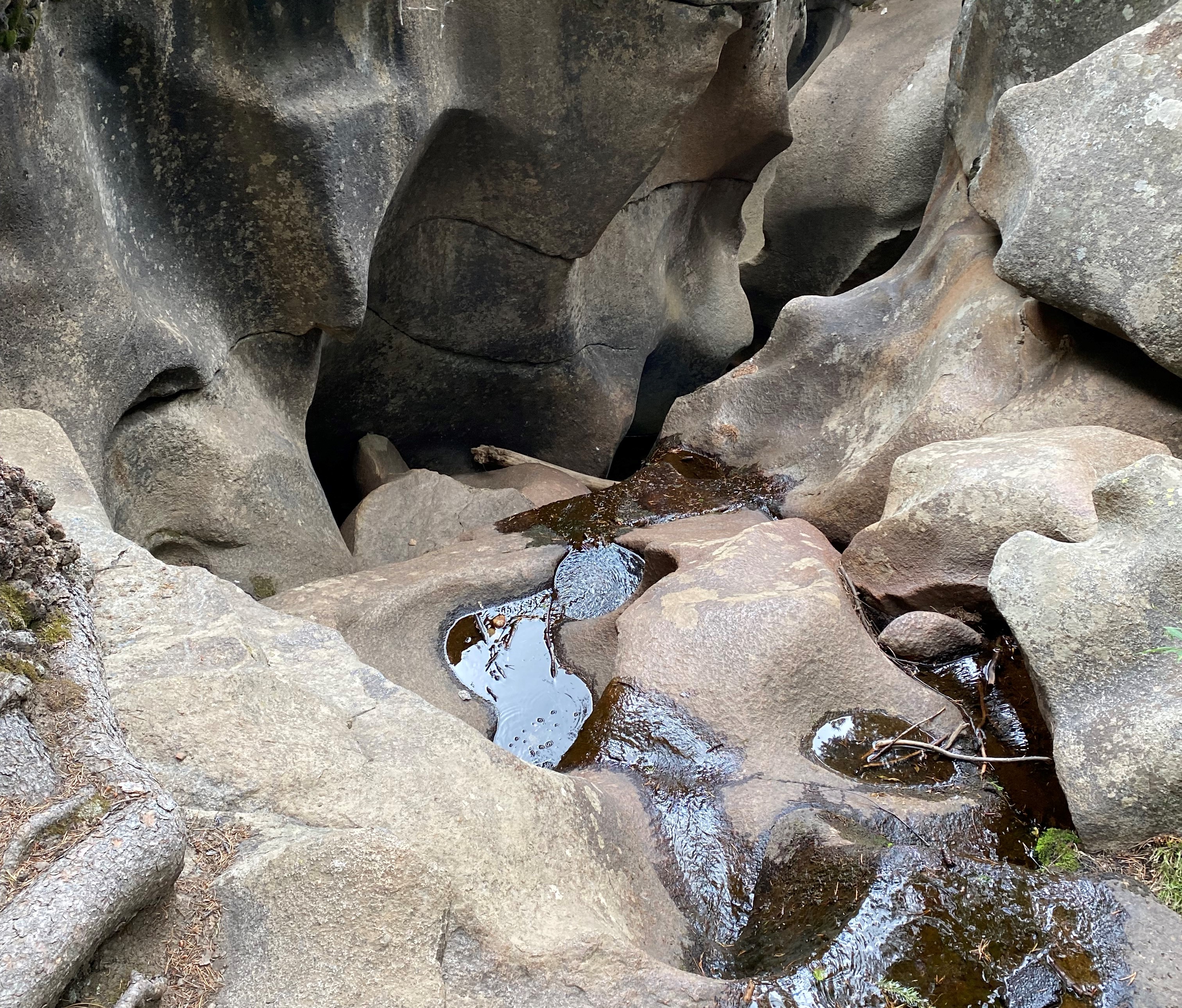 Photo 4 of Grottos