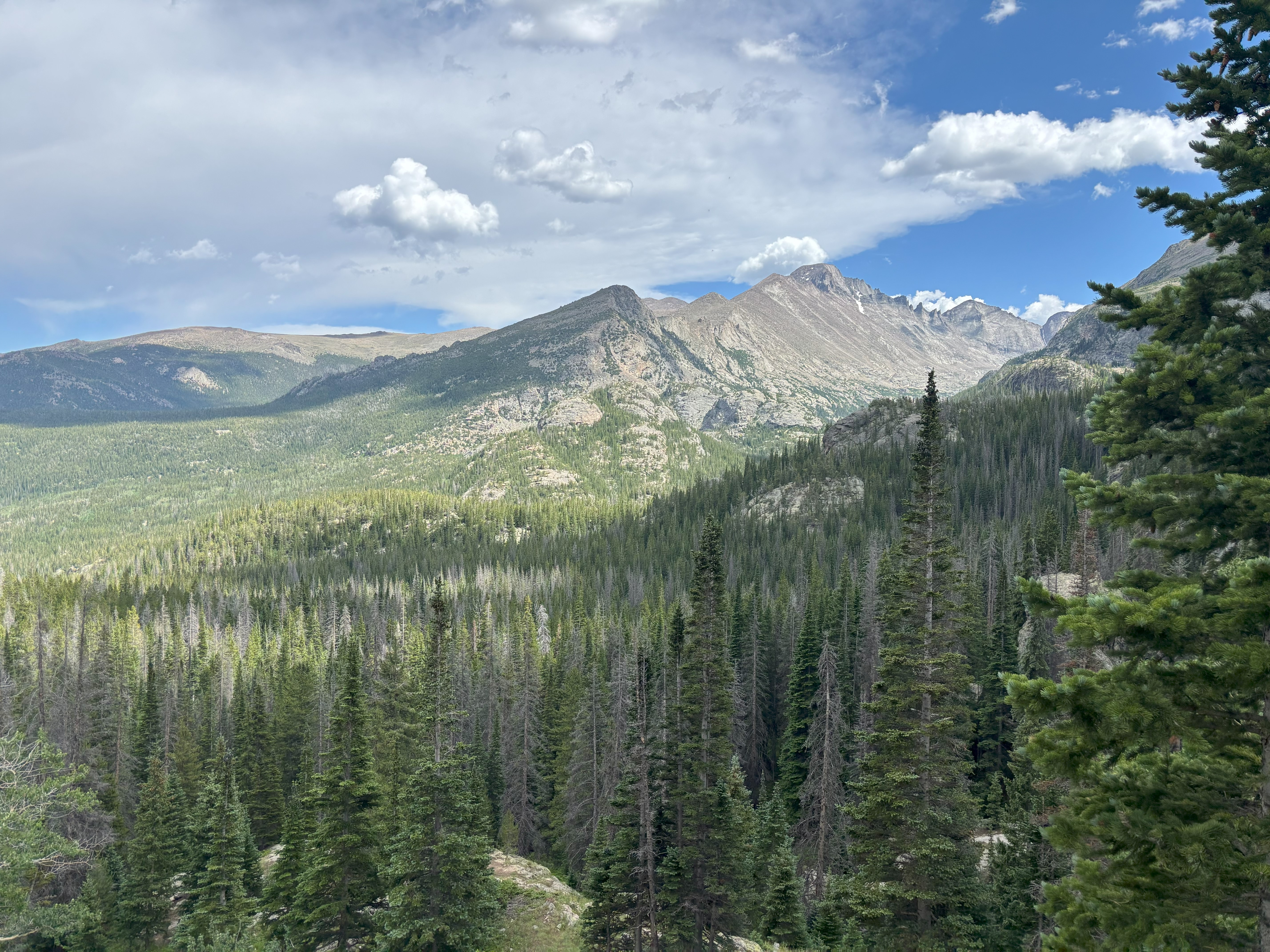 Photo 7 of Rocky Mountain