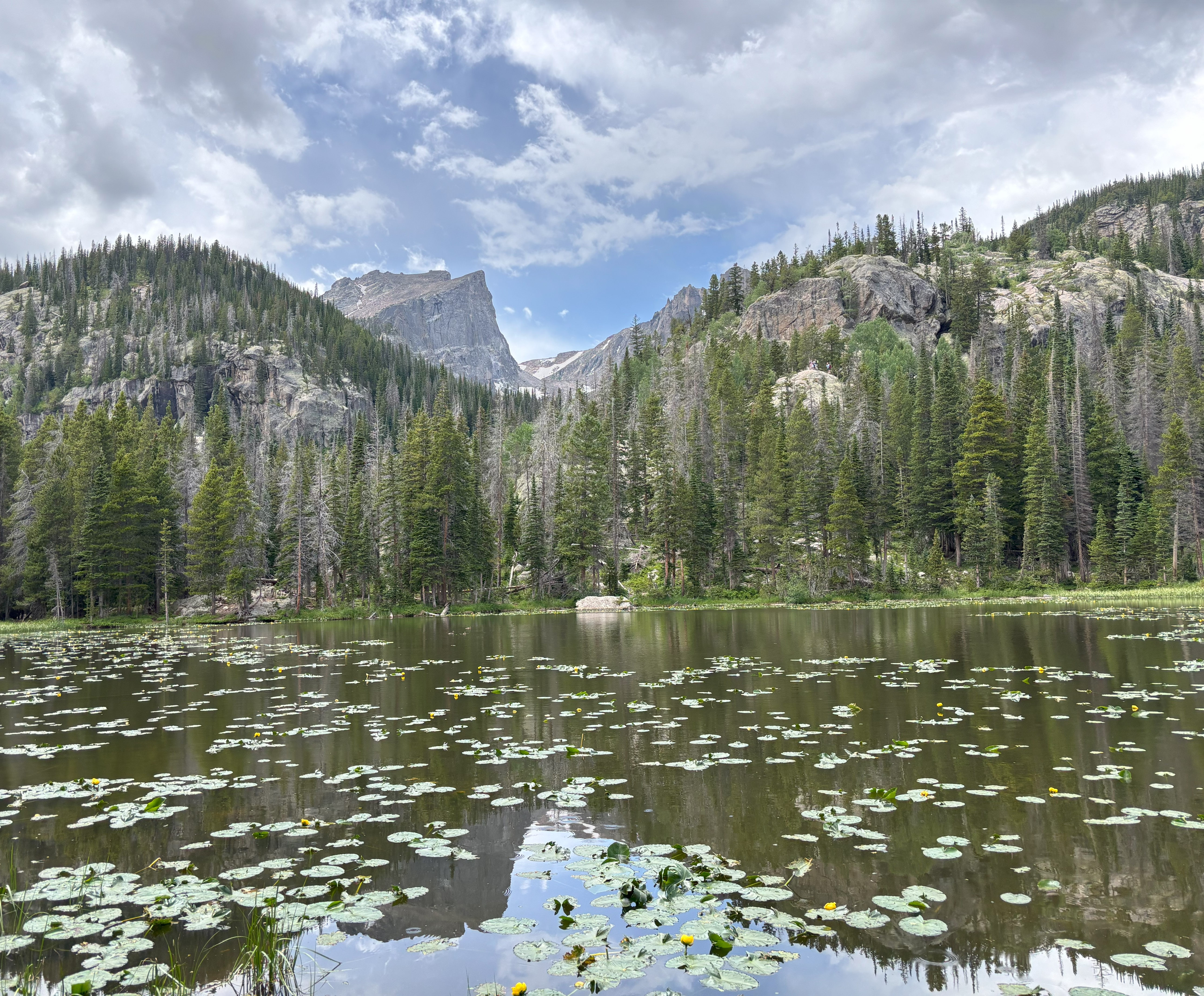 Photo 2 of Rocky Mountain