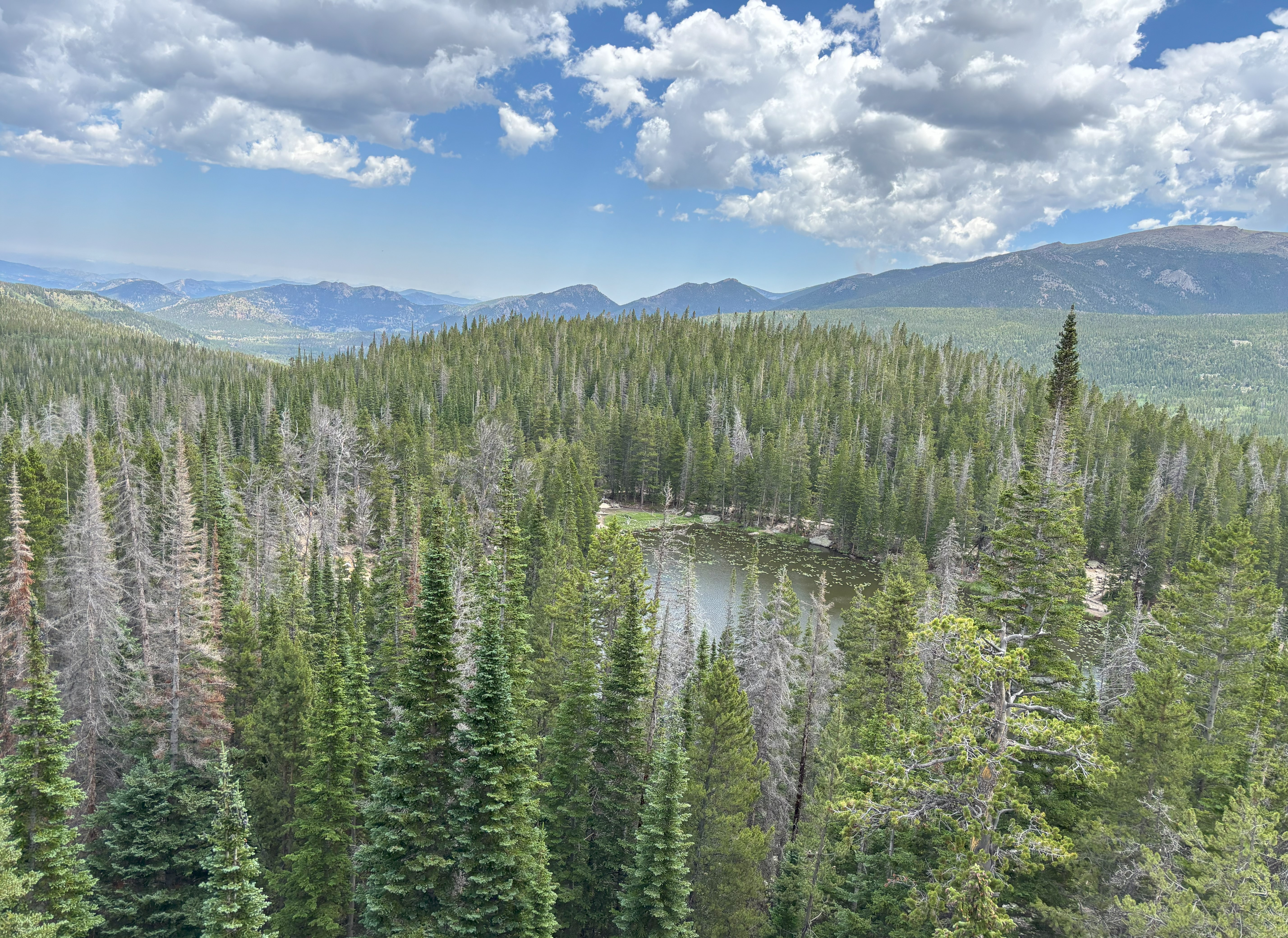 Photo 5 of Rocky Mountain