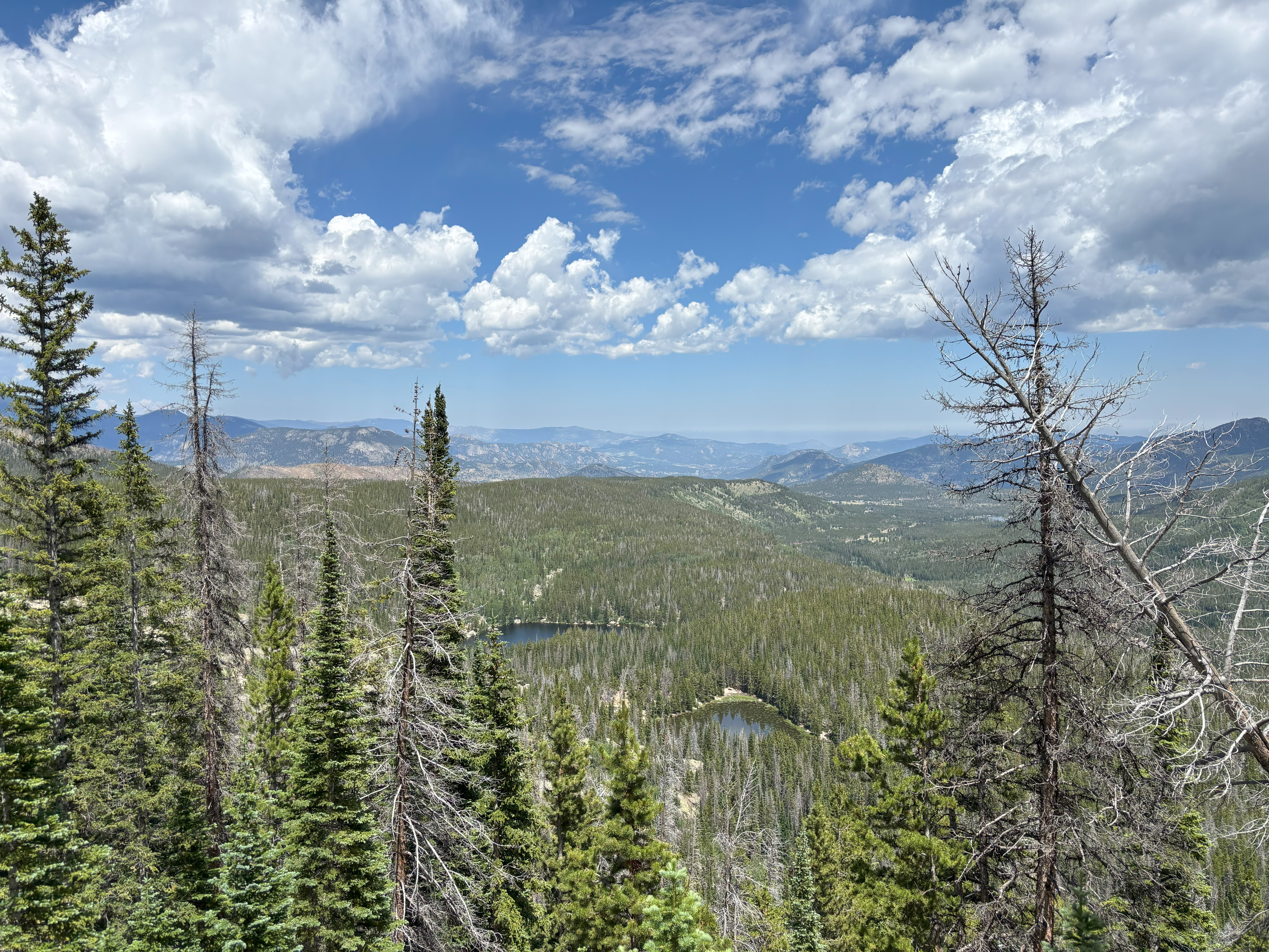 Photo 7 of Rocky Mountain