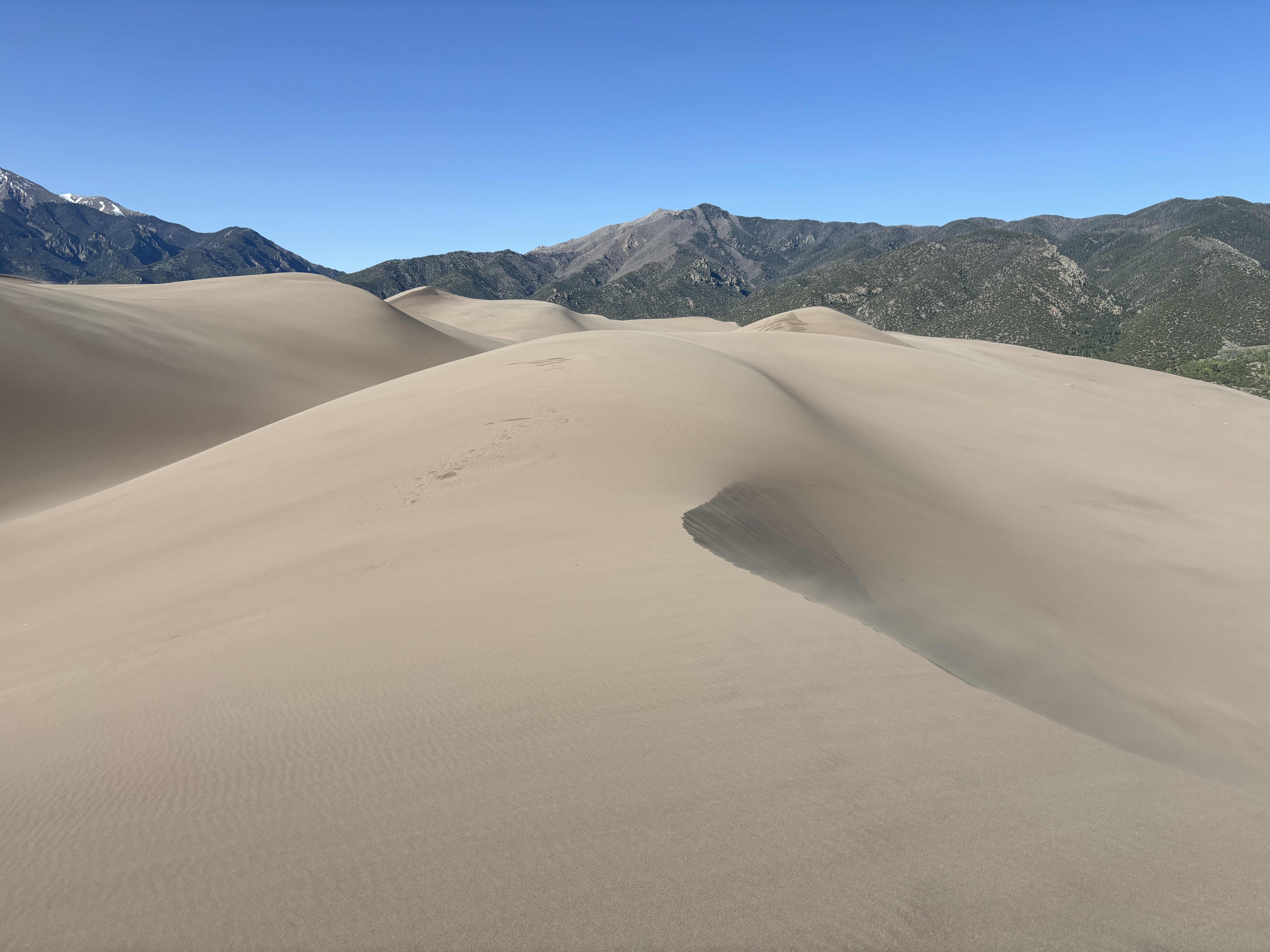 Photo 15 of Sand Dunes