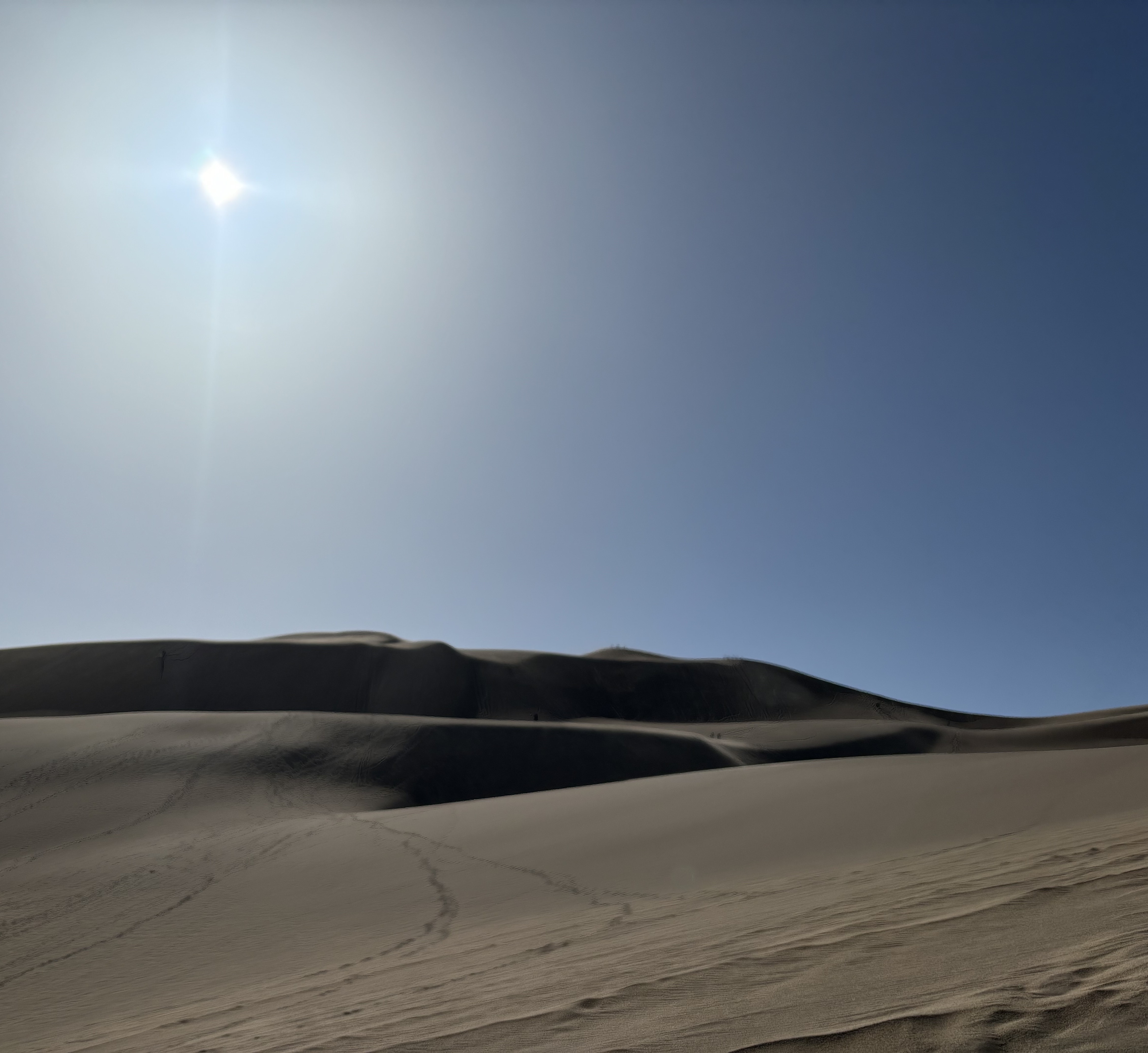 Photo 9 of Sand Dunes