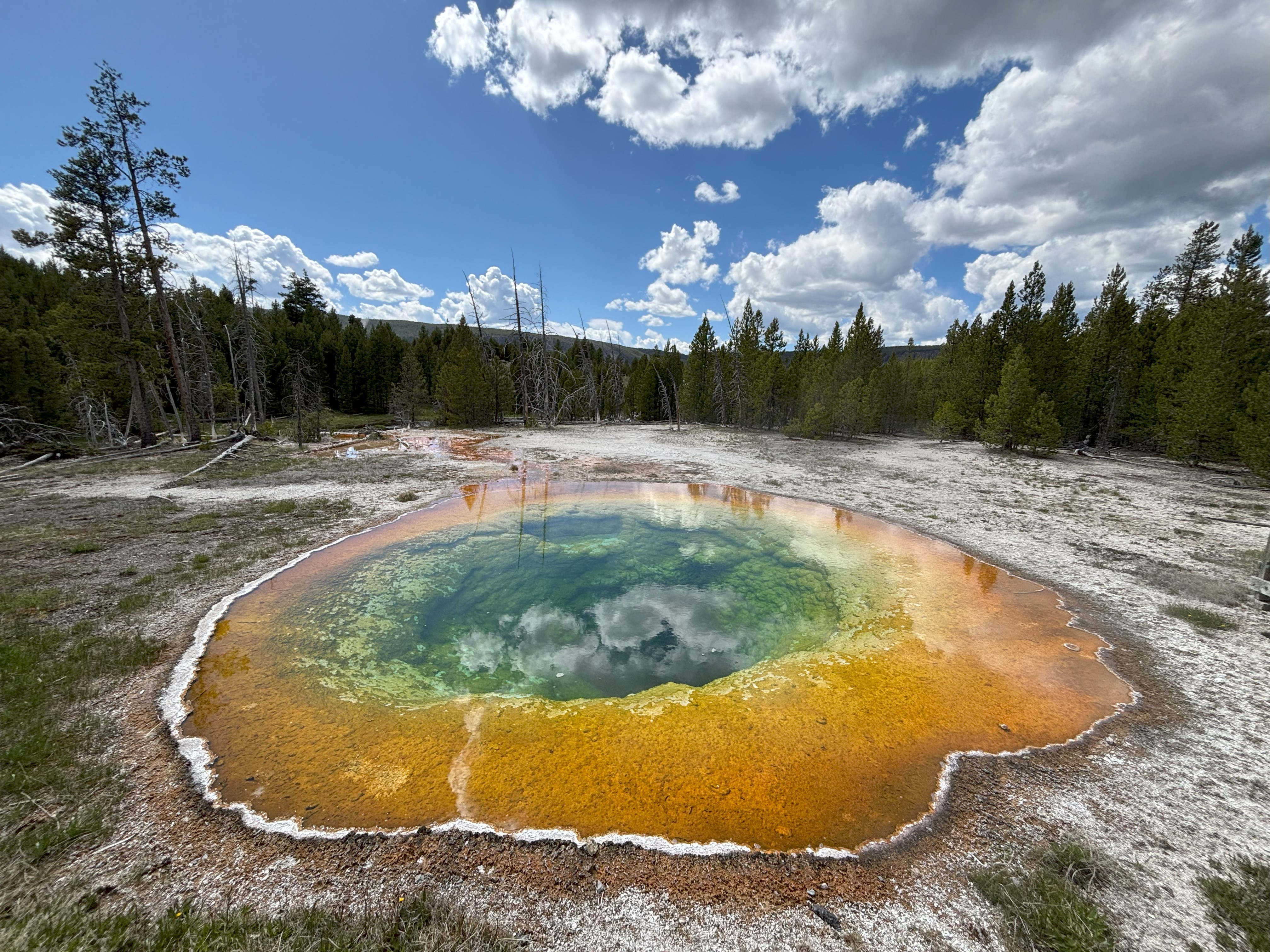 Photo 1 of Yellowstone