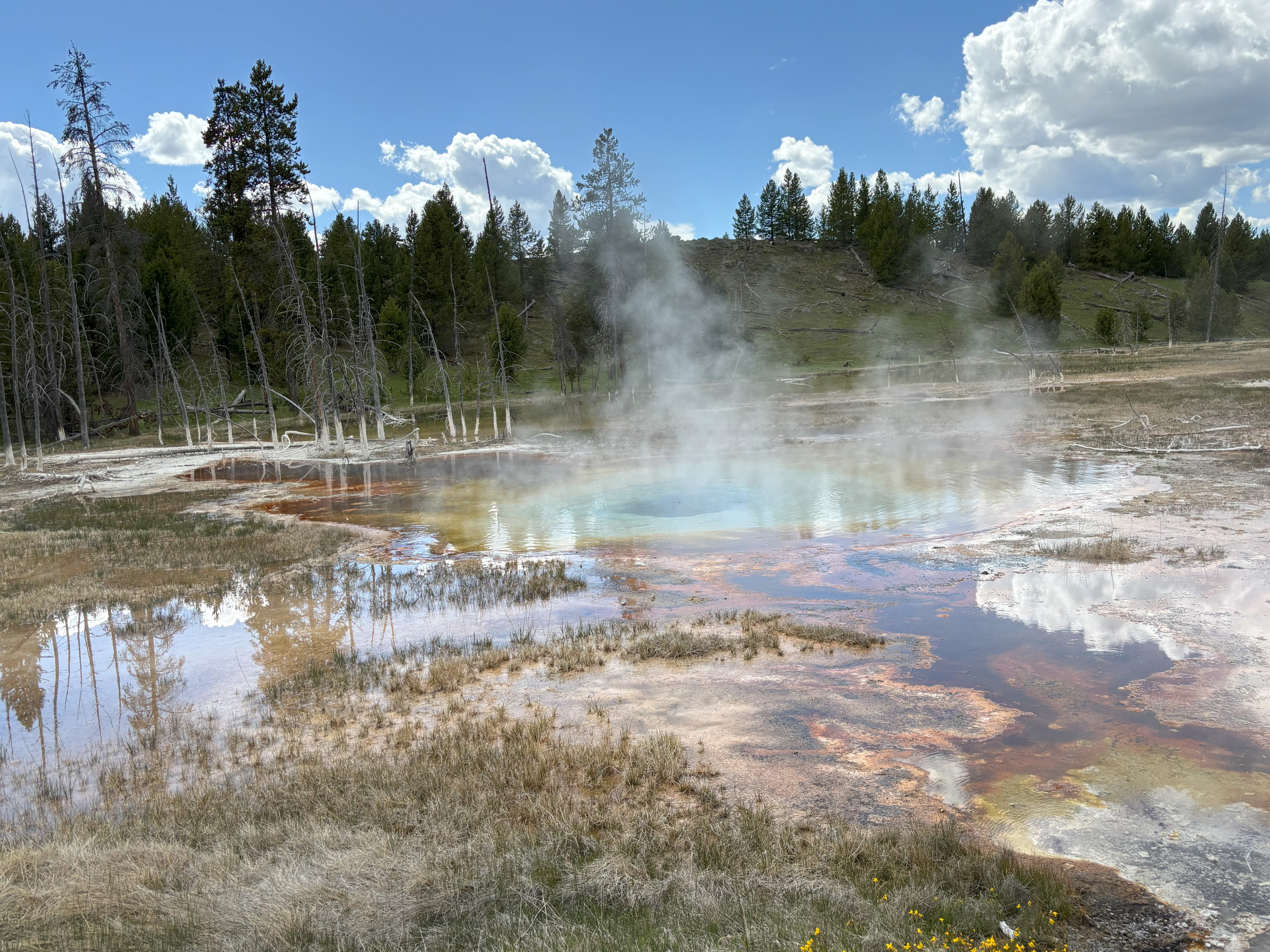 Photo 2 of Yellowstone