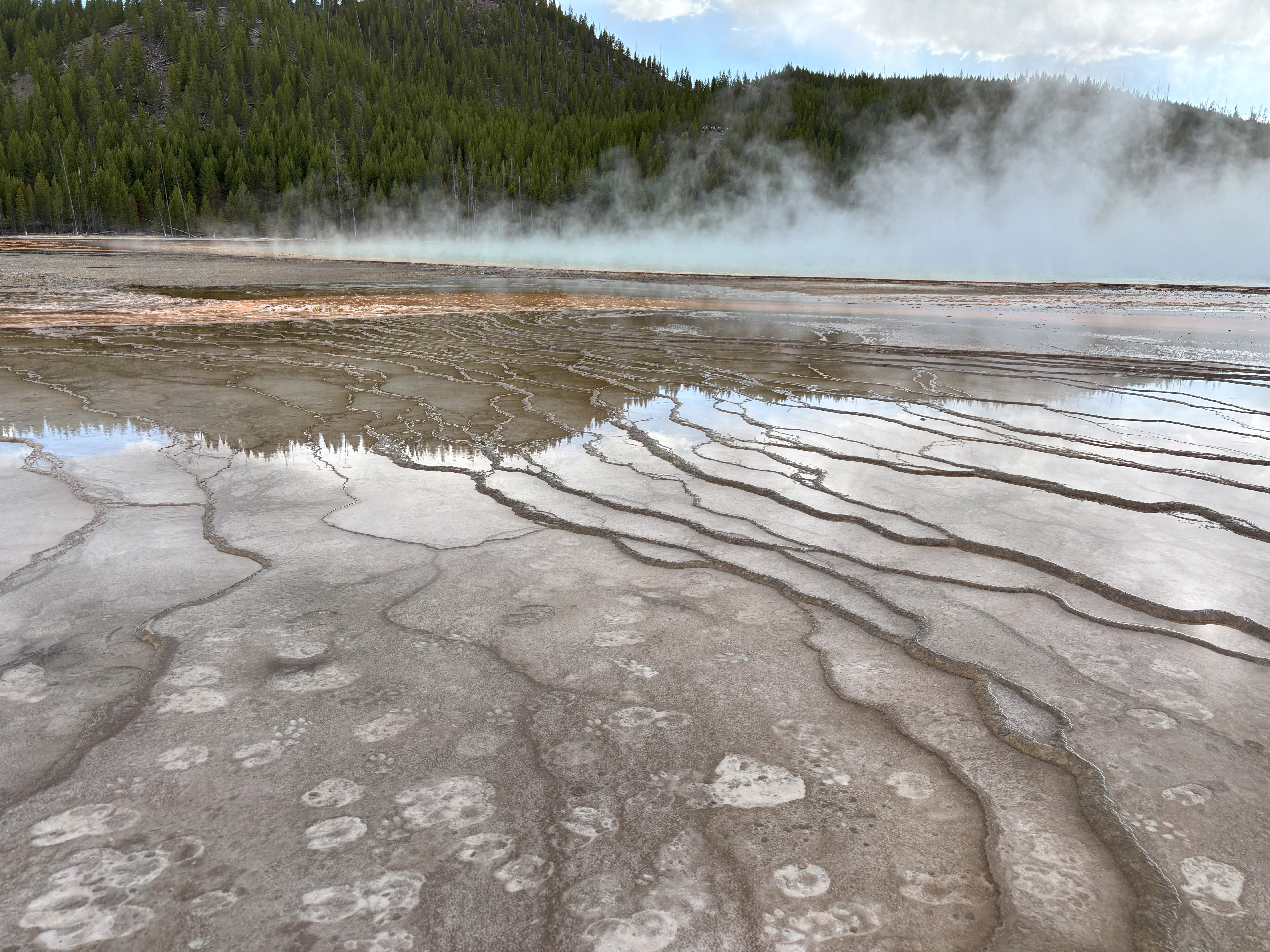 Photo 3 of Yellowstone