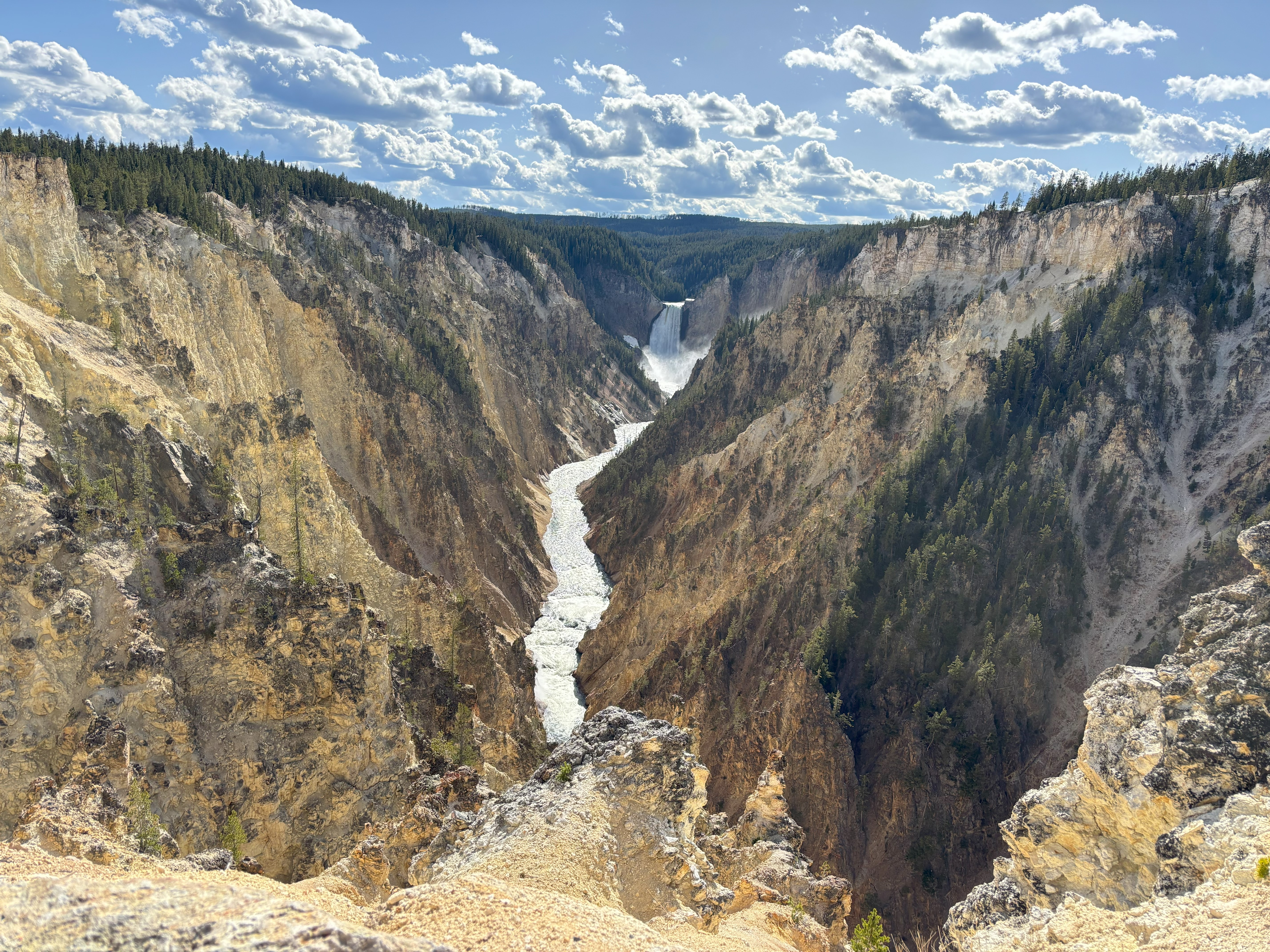 Photo 4 of Yellowstone