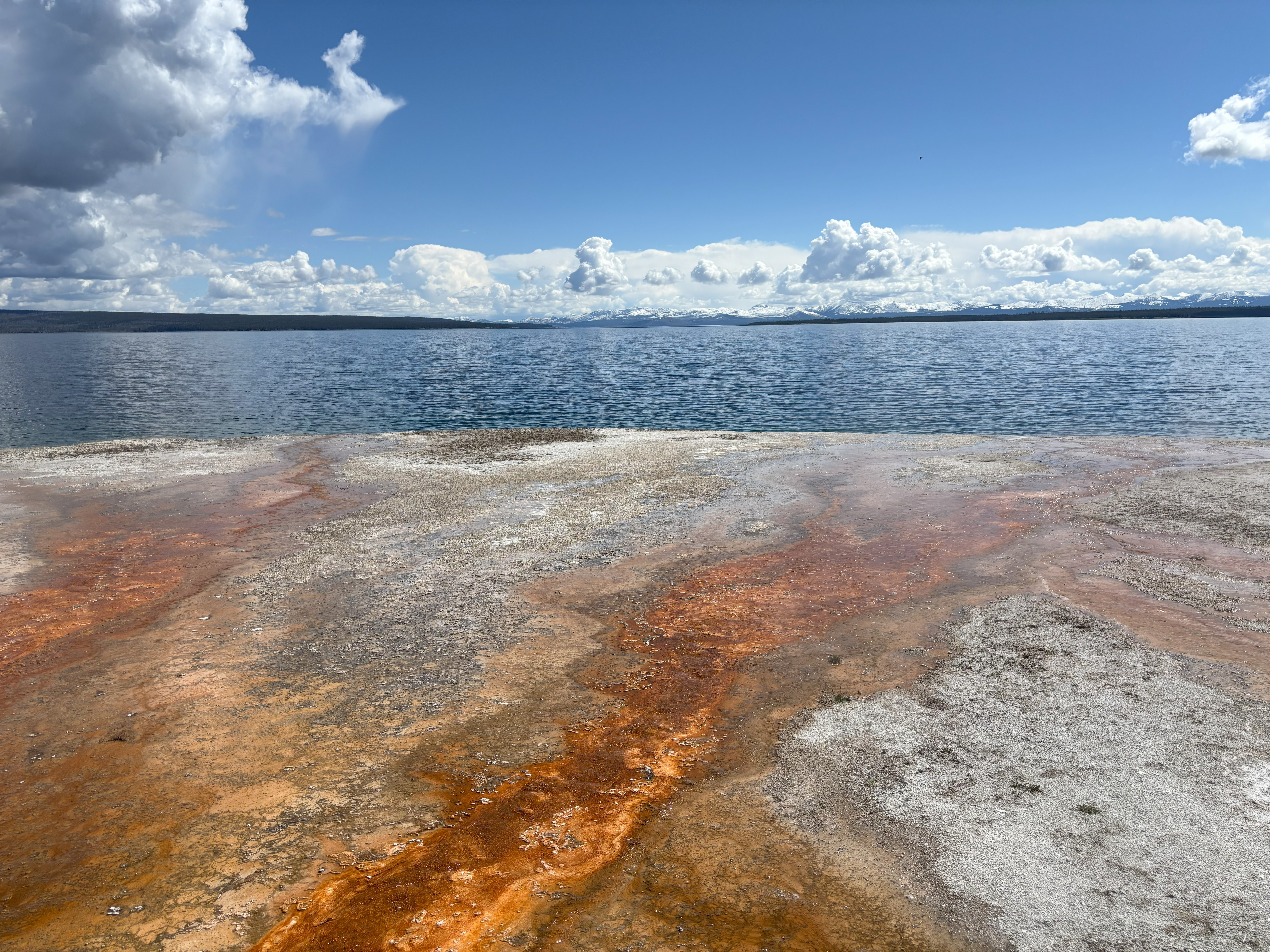 Photo 7 of Yellowstone