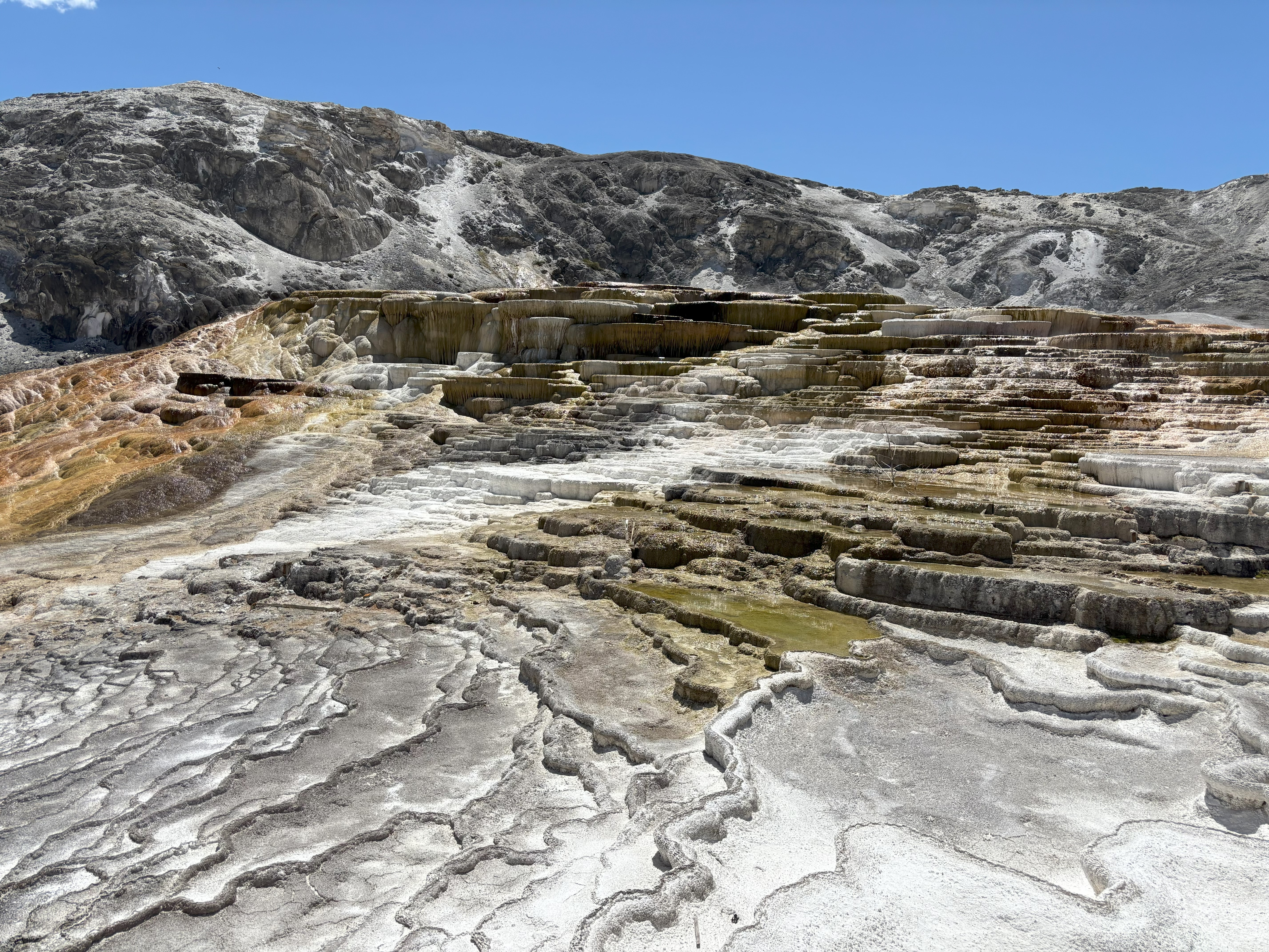 Photo 8 of Yellowstone