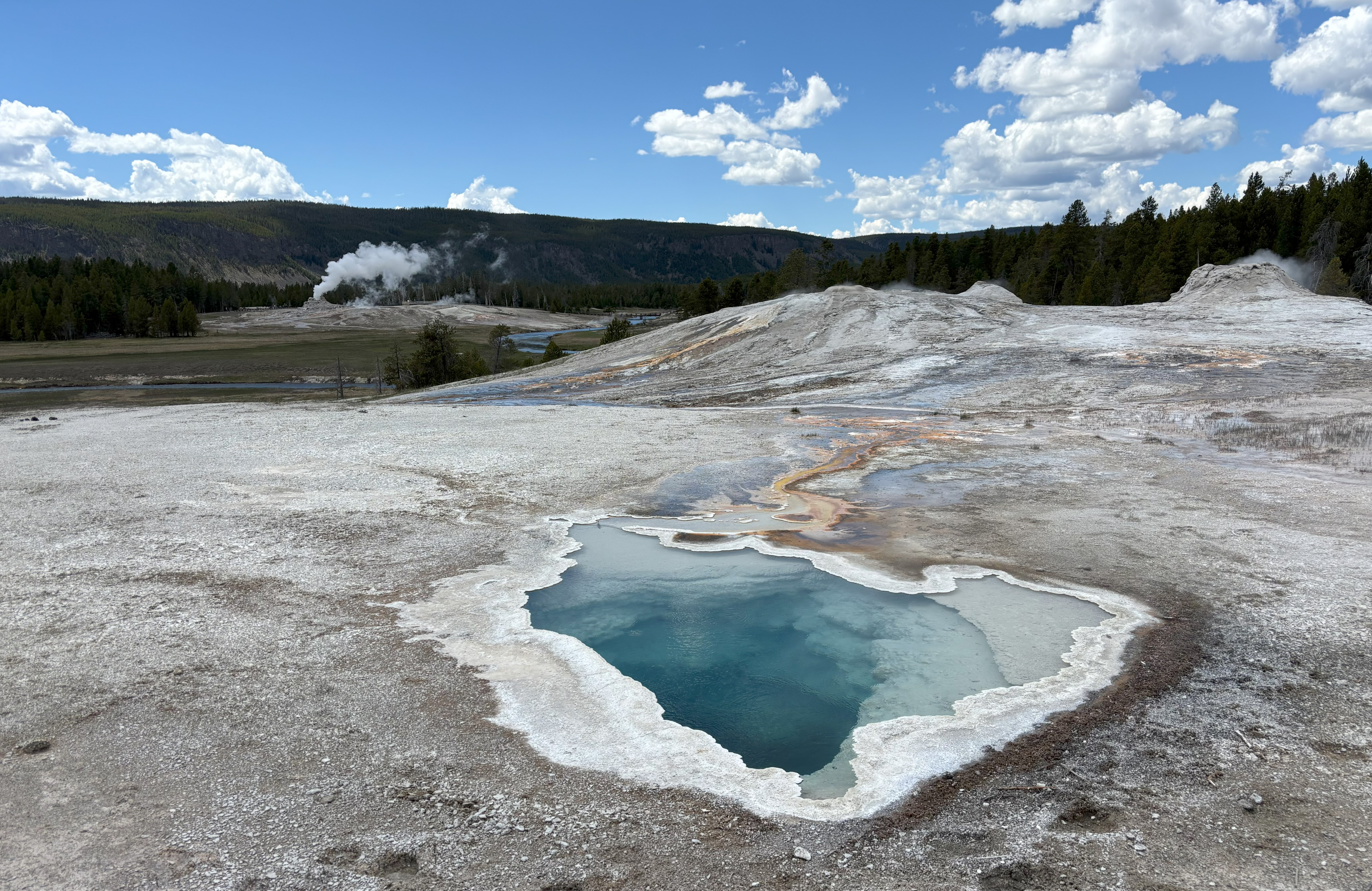 Photo 9 of Yellowstone