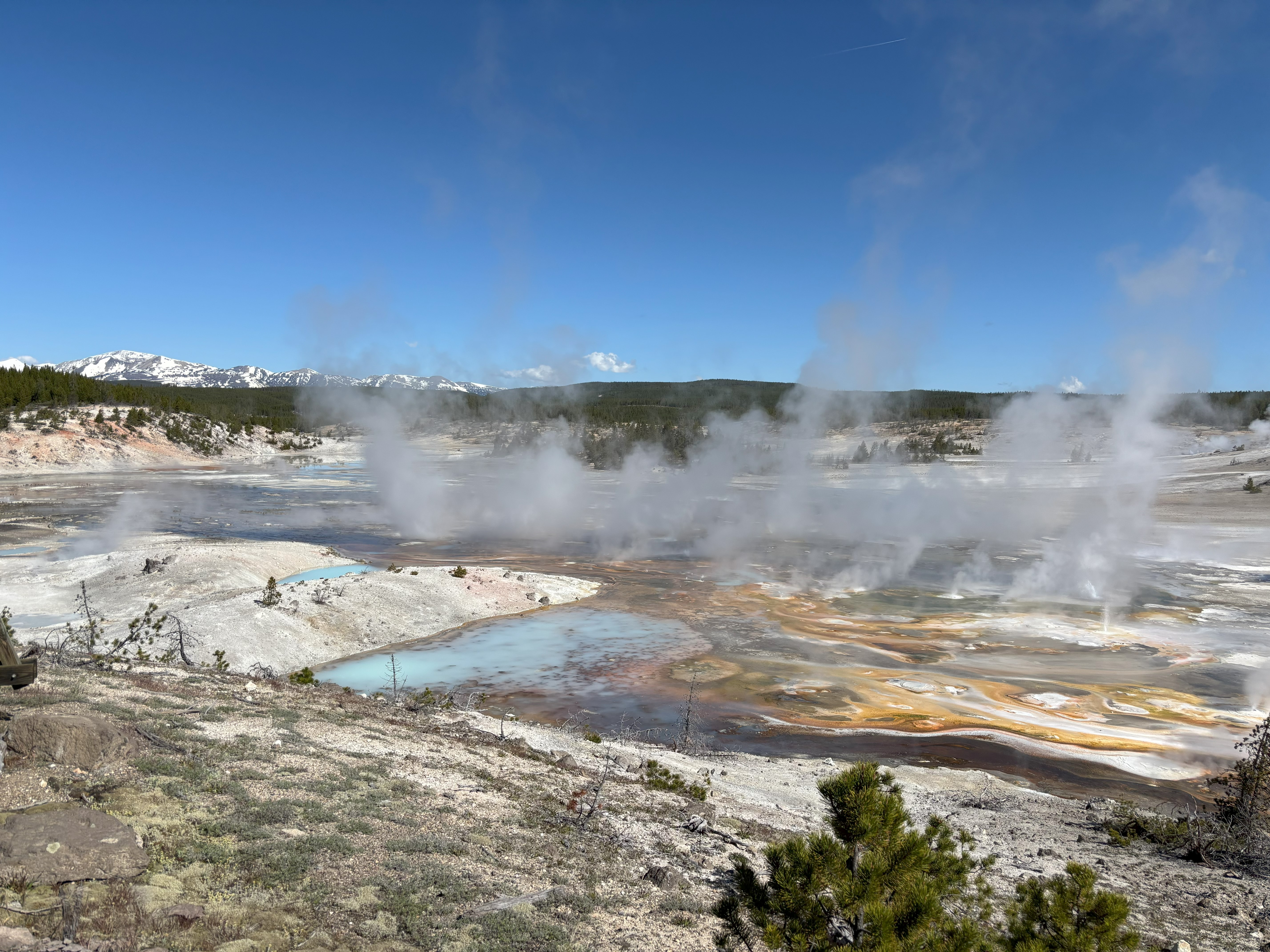 Photo 10 of Yellowstone
