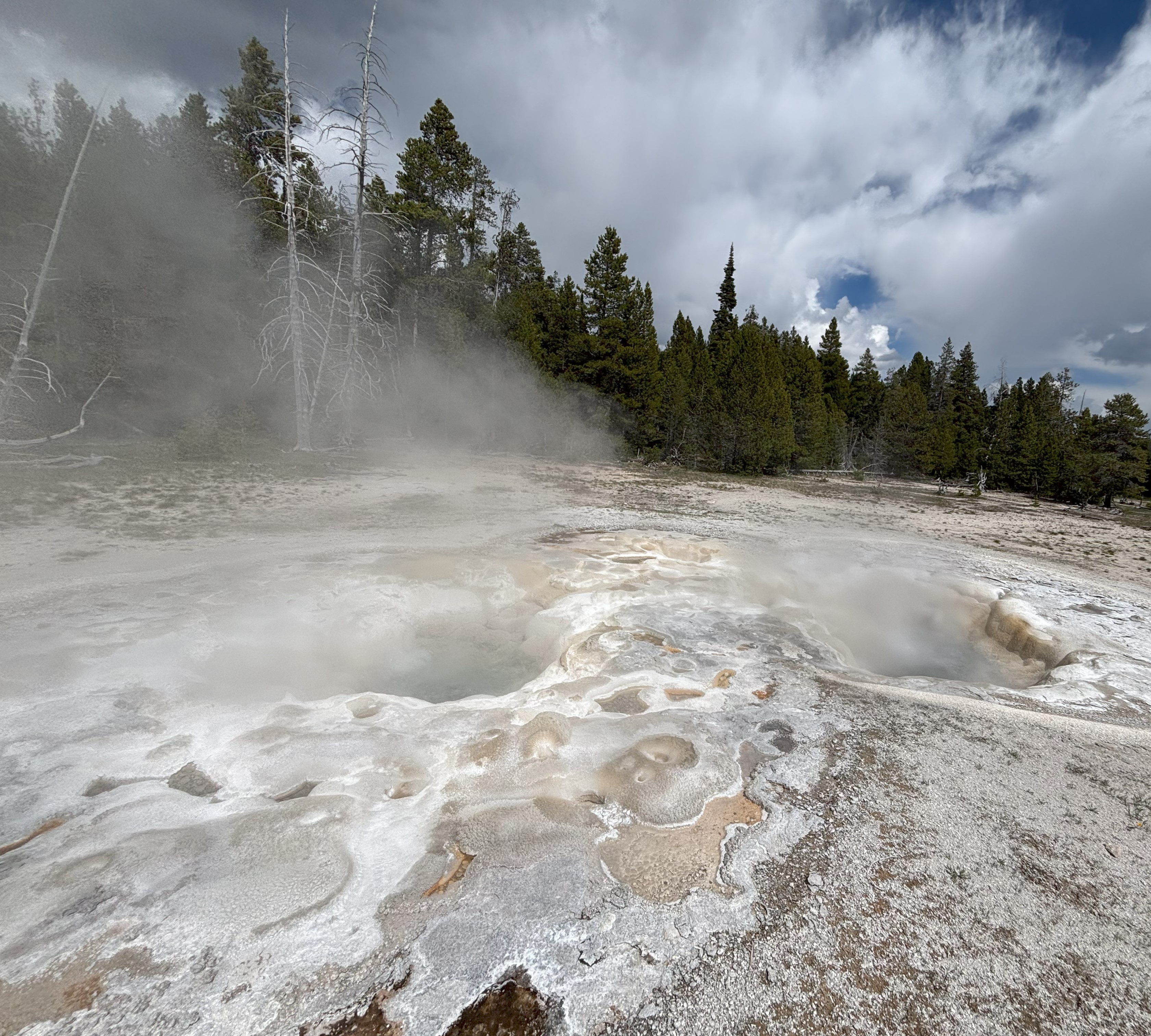 Photo 11 of Yellowstone