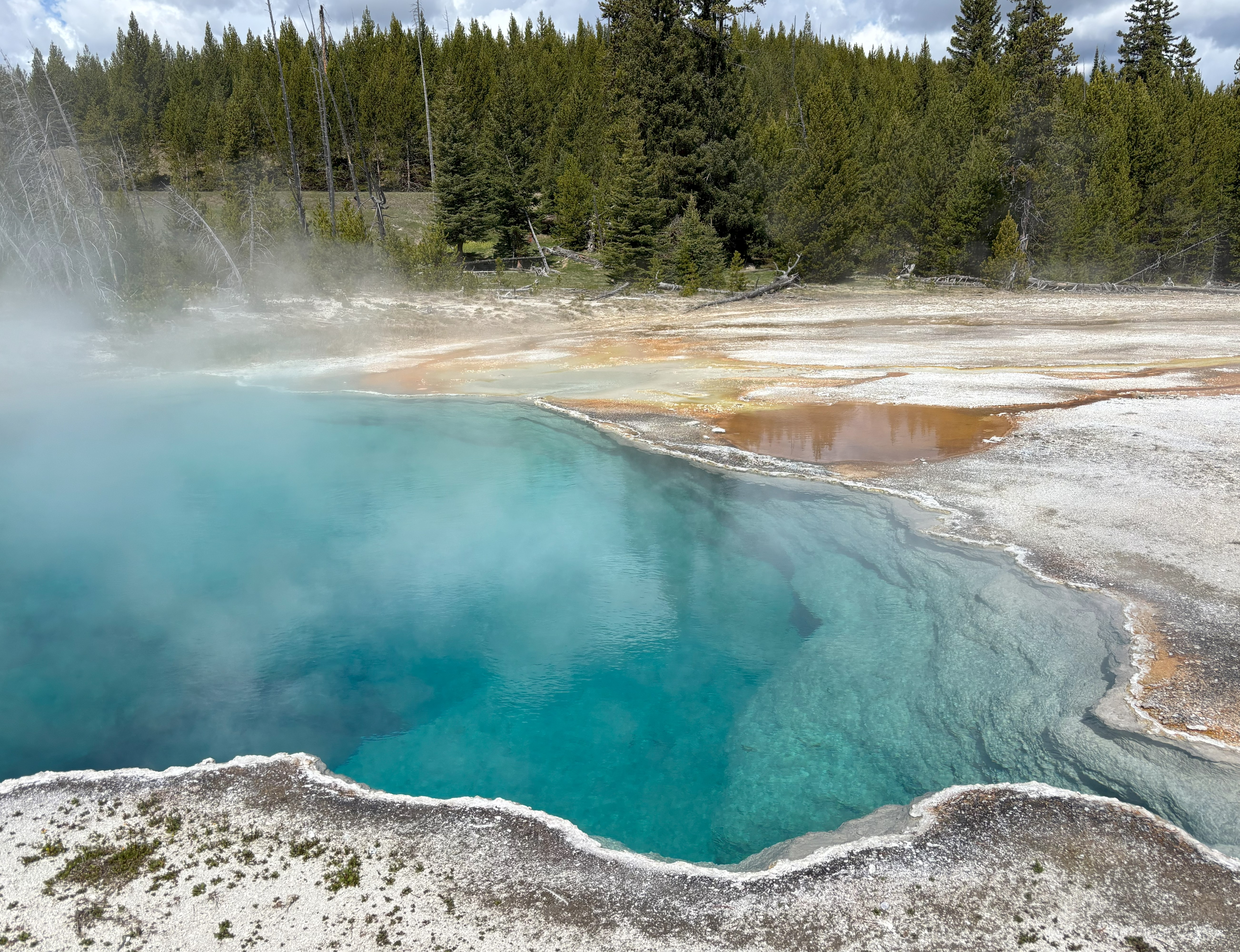 Photo 15 of Yellowstone