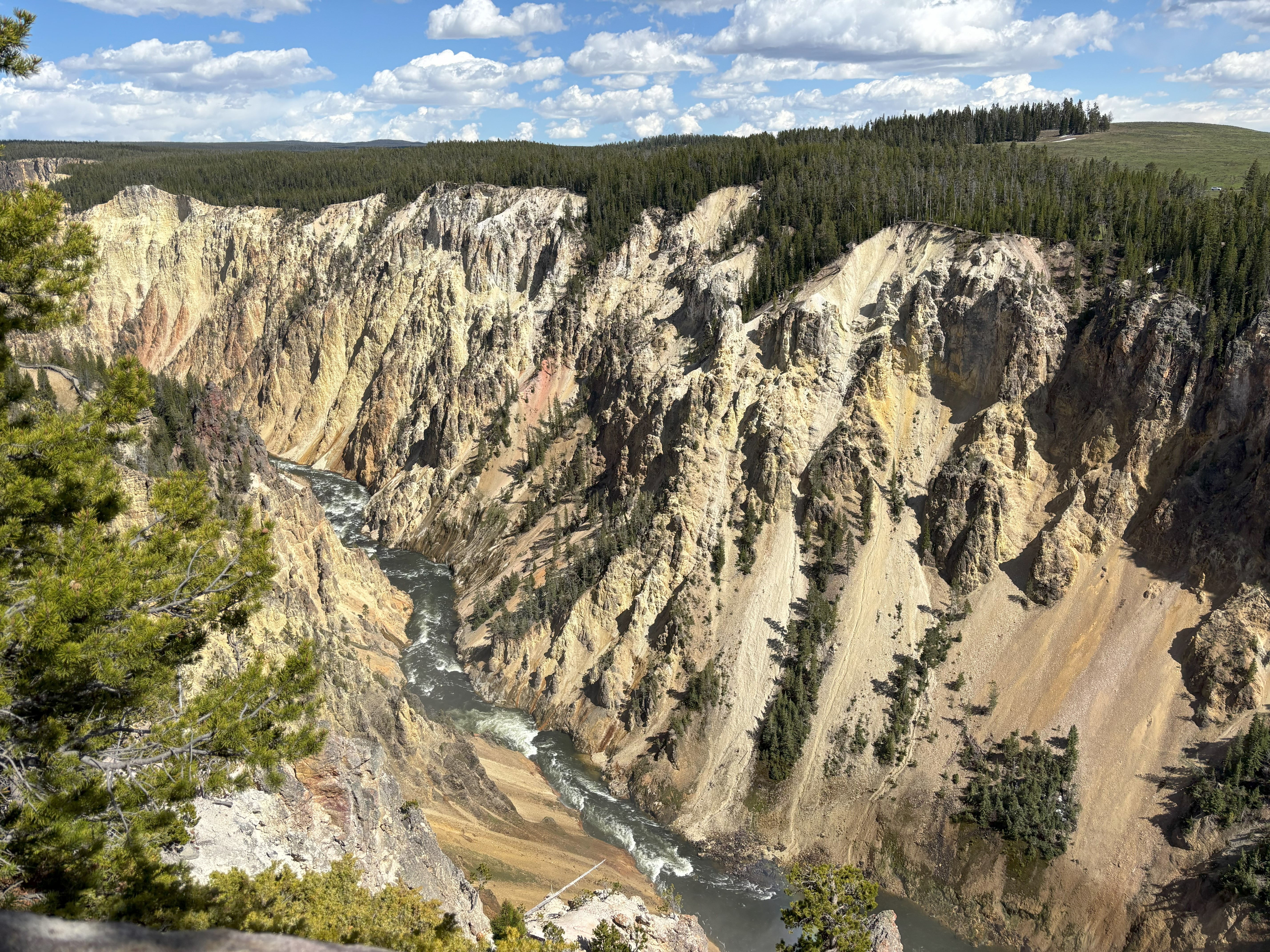 Photo 16 of Yellowstone