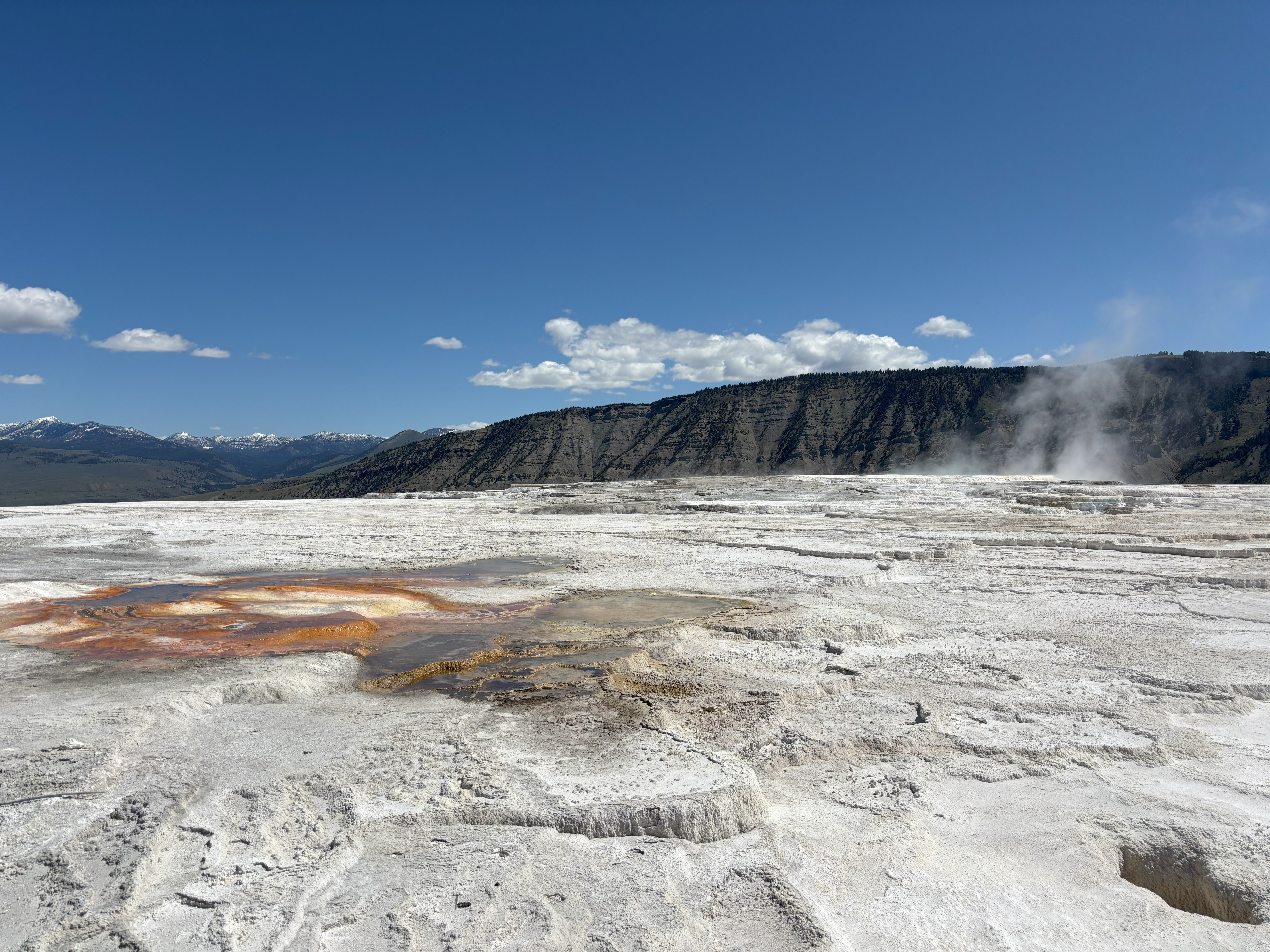 Photo 17 of Yellowstone