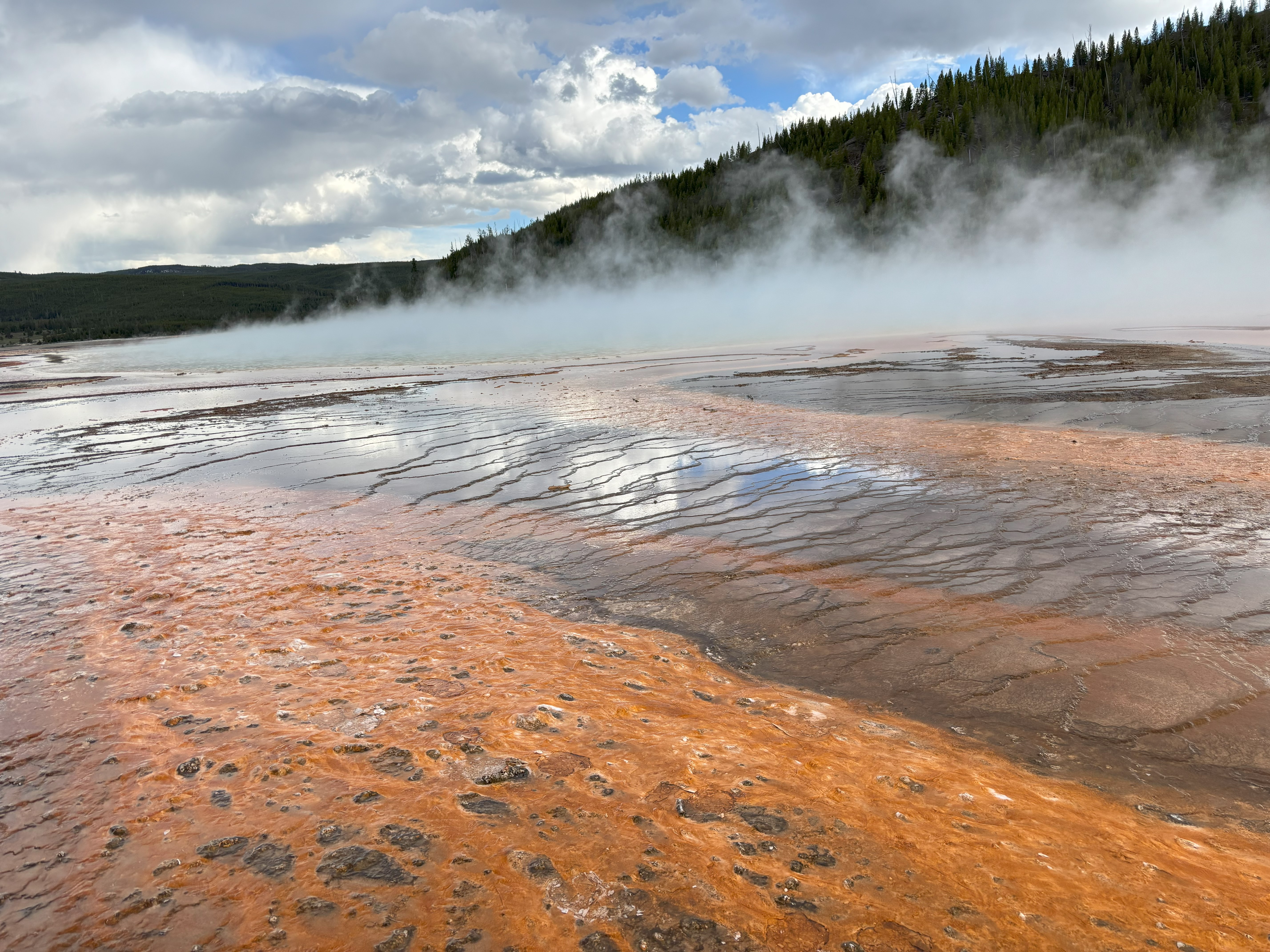 Photo 18 of Yellowstone