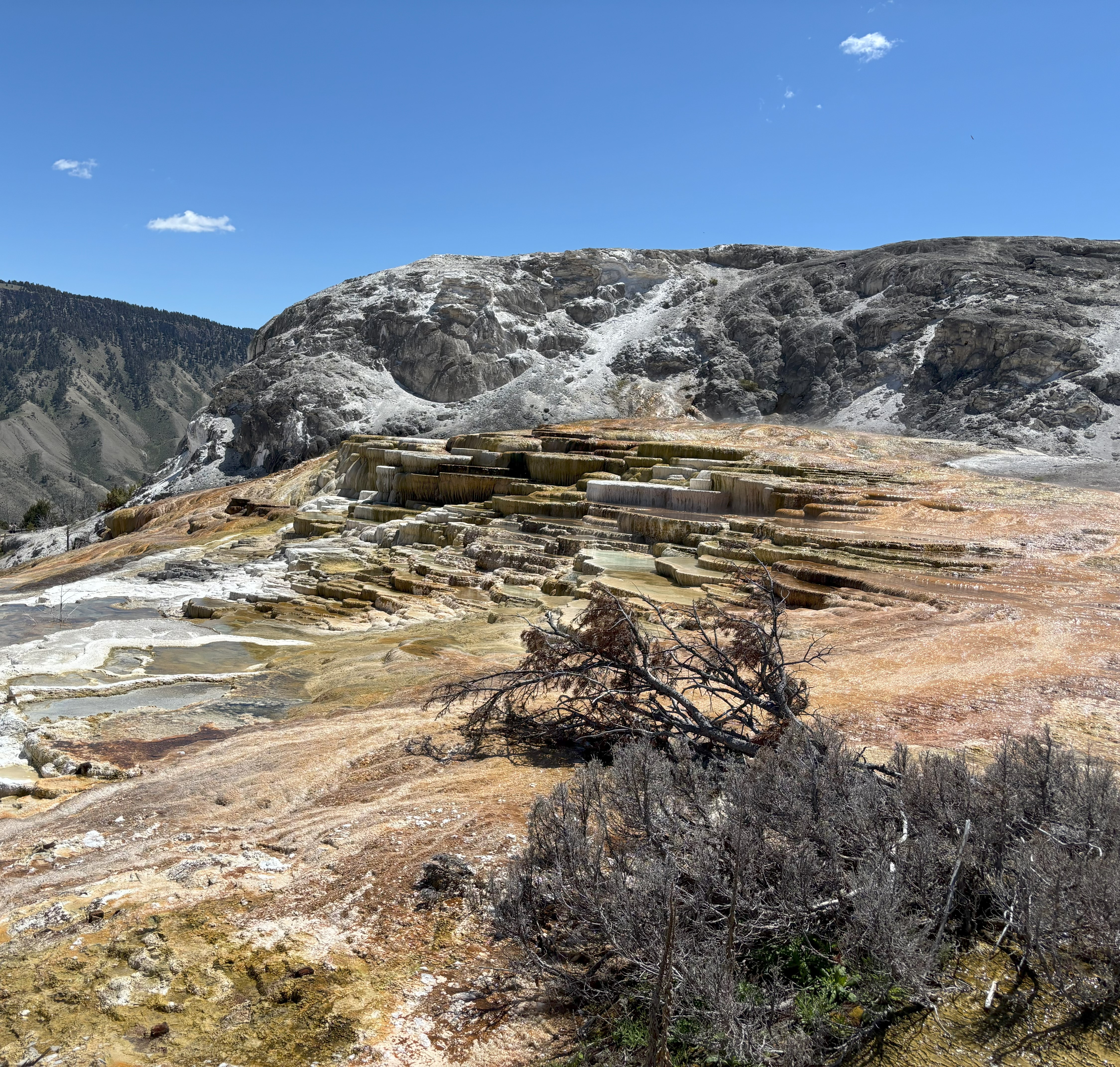 Photo 20 of Yellowstone