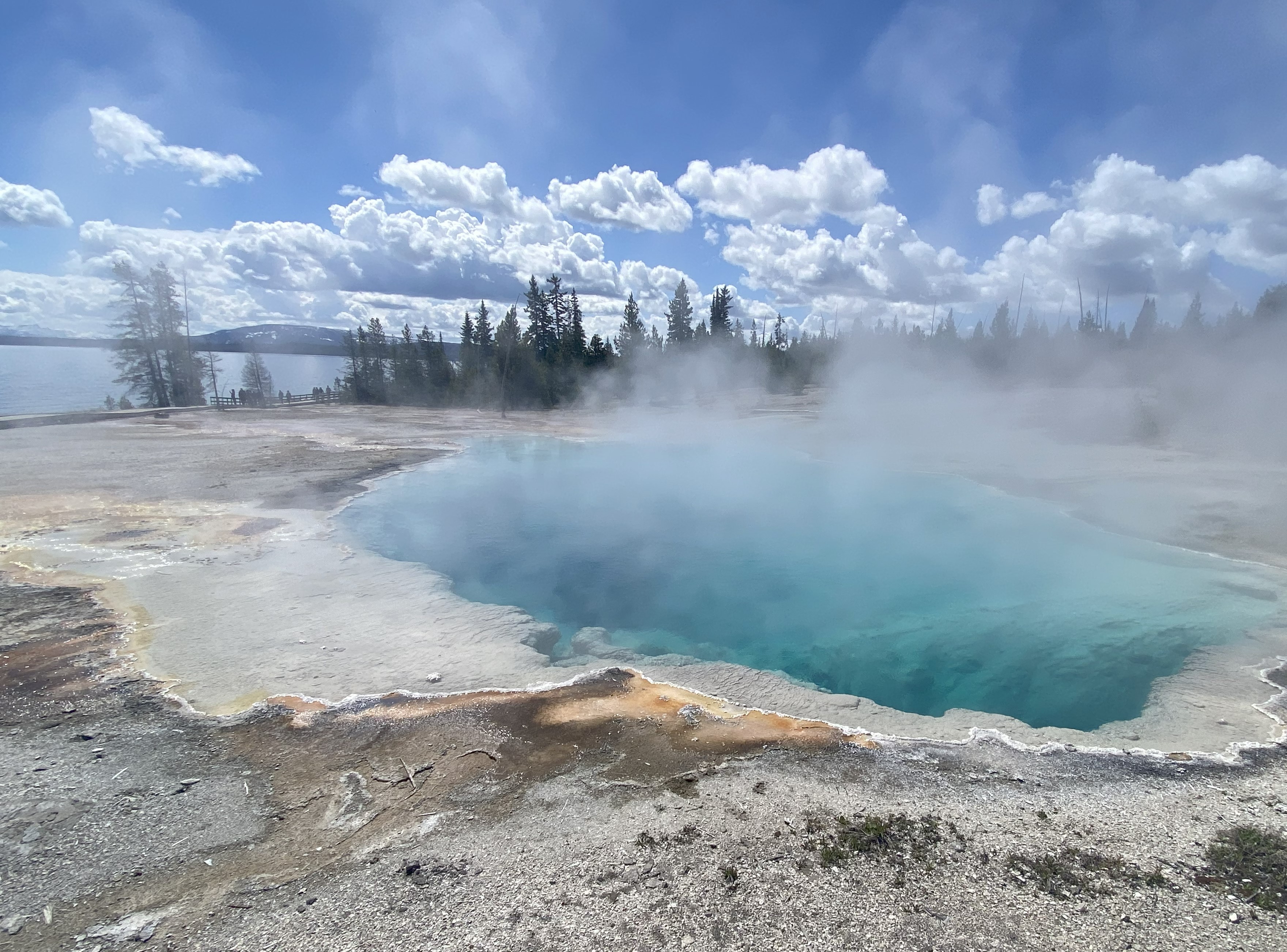 Photo 21 of Yellowstone