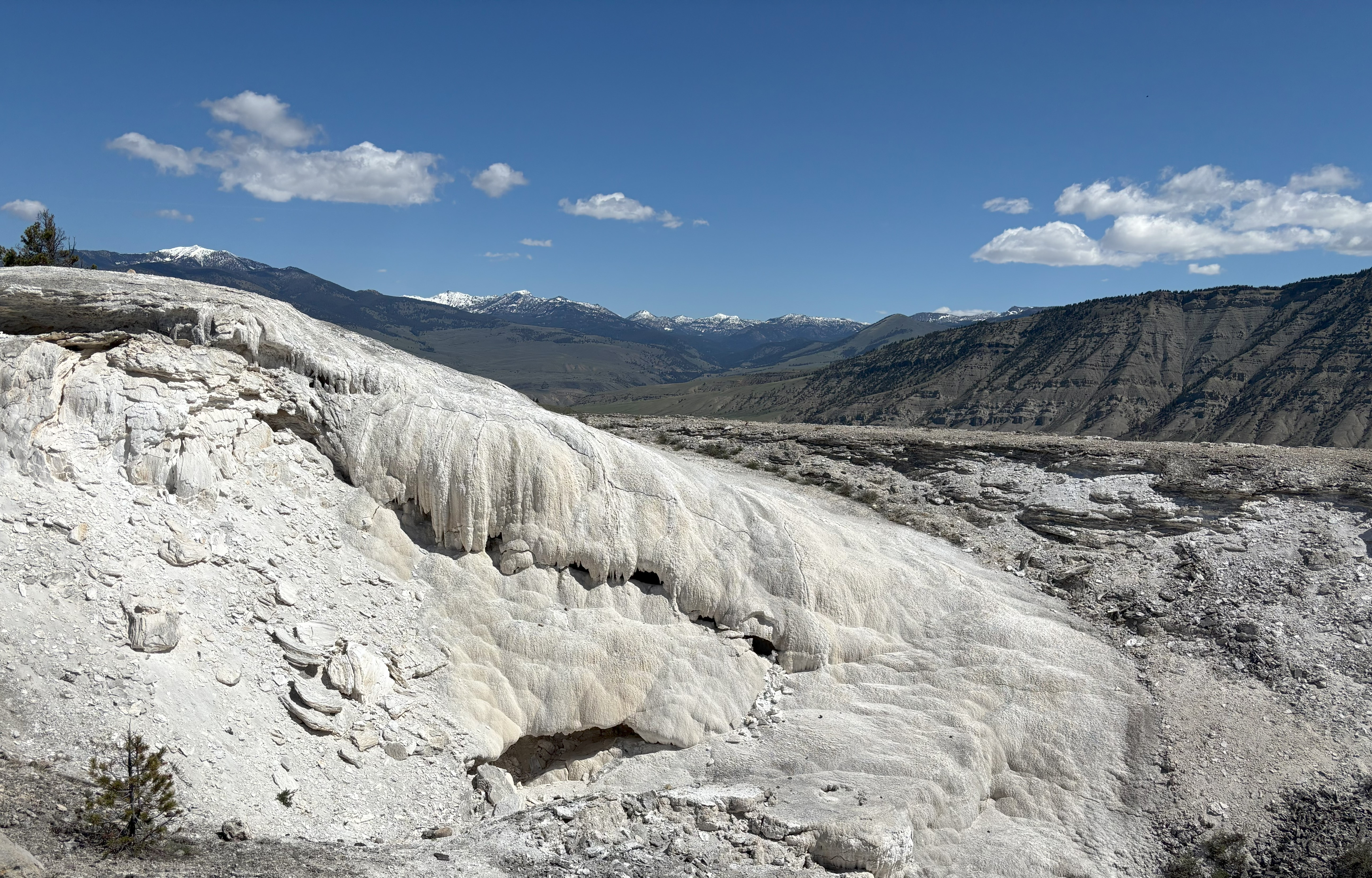 Photo 23 of Yellowstone