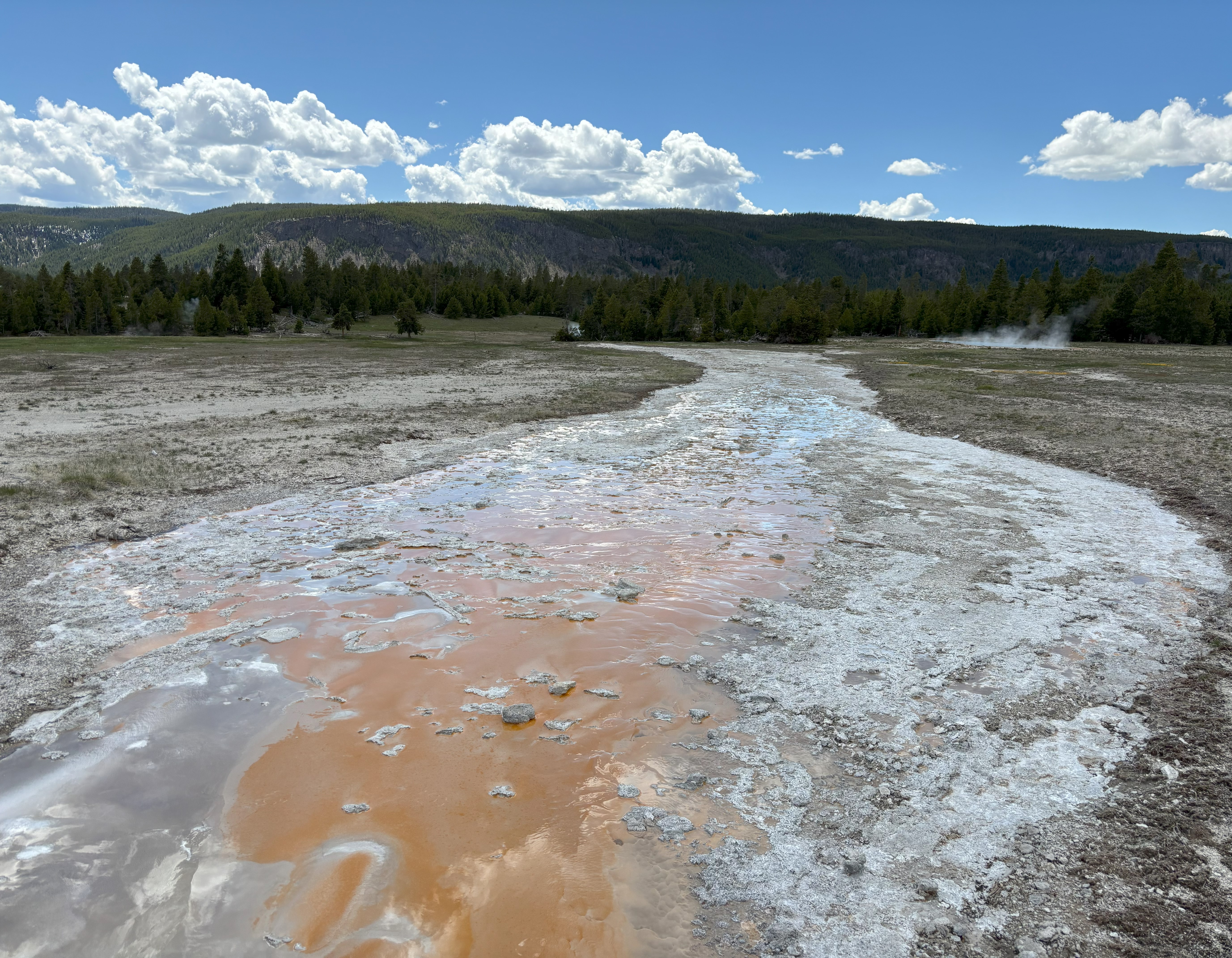 Photo 24 of Yellowstone