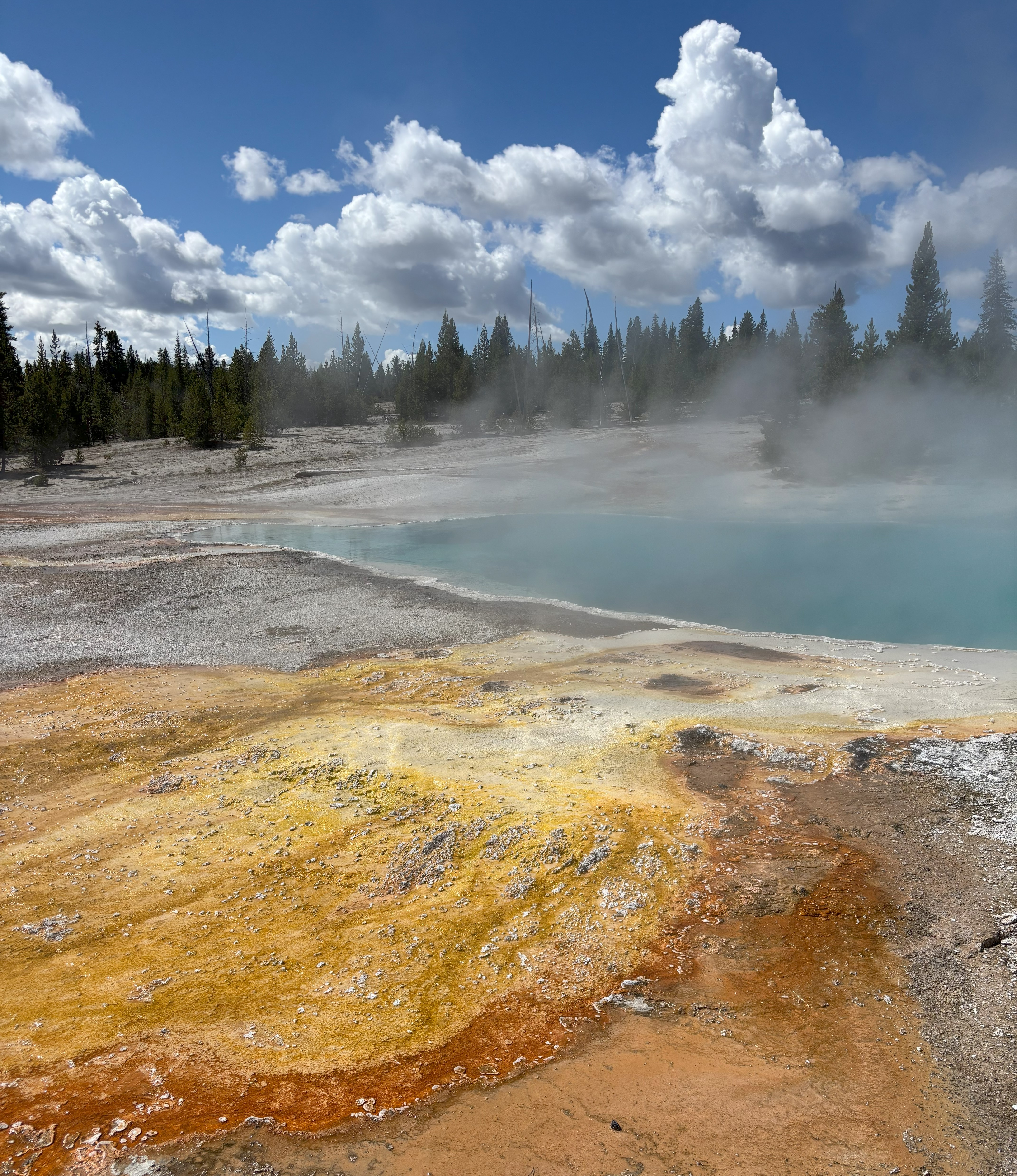 Photo 25 of Yellowstone