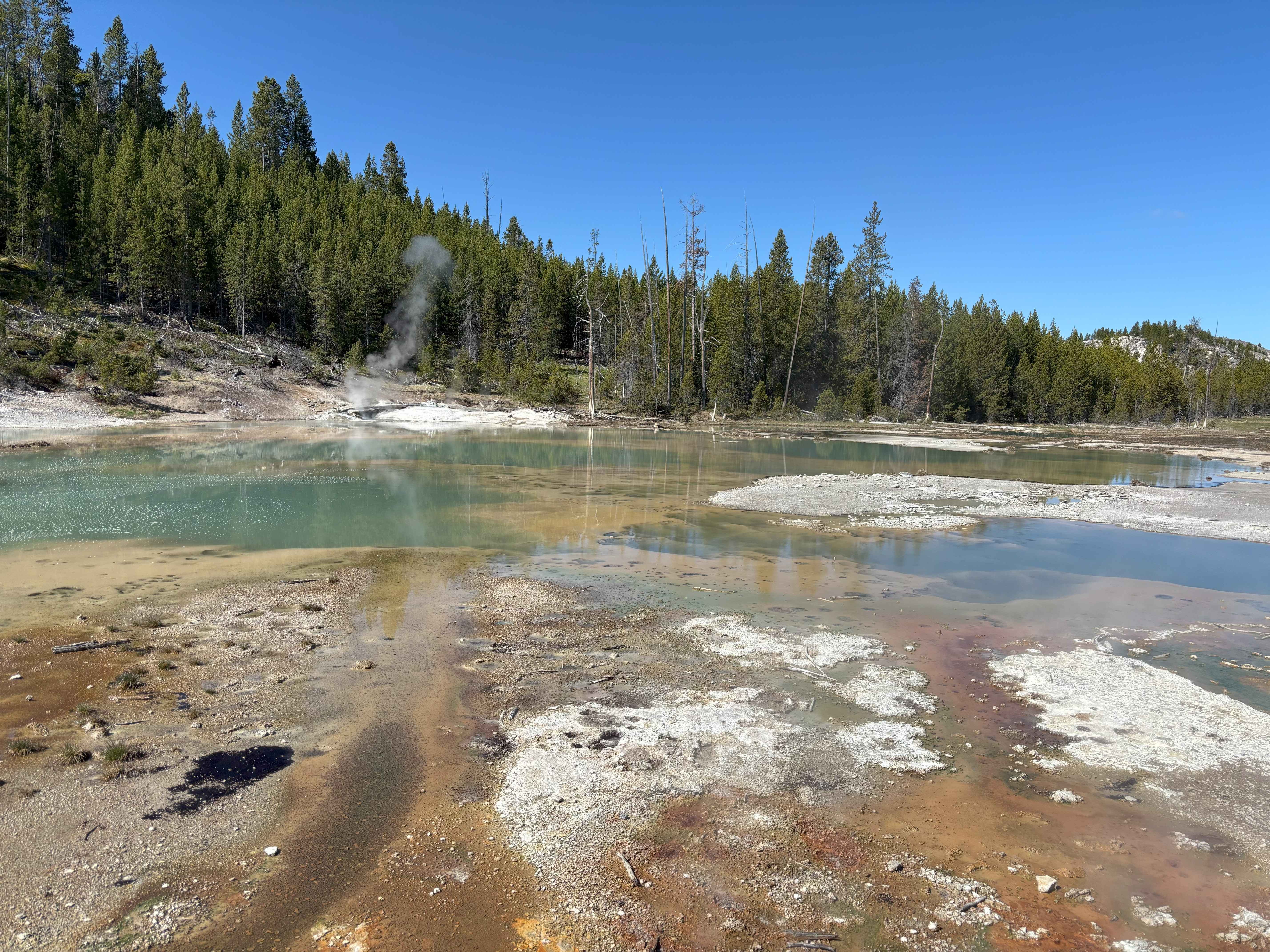 Photo 26 of Yellowstone