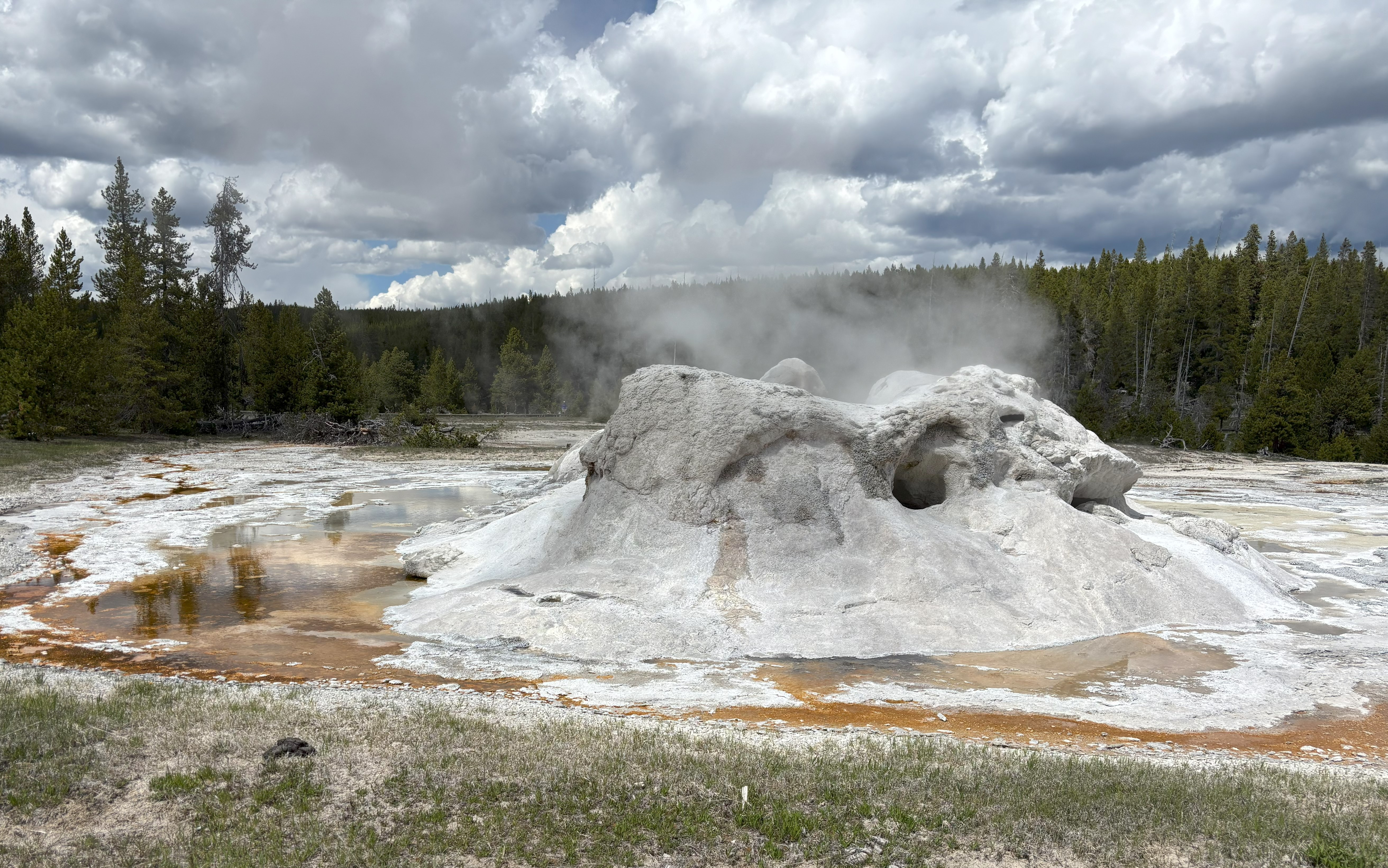 Photo 27 of Yellowstone