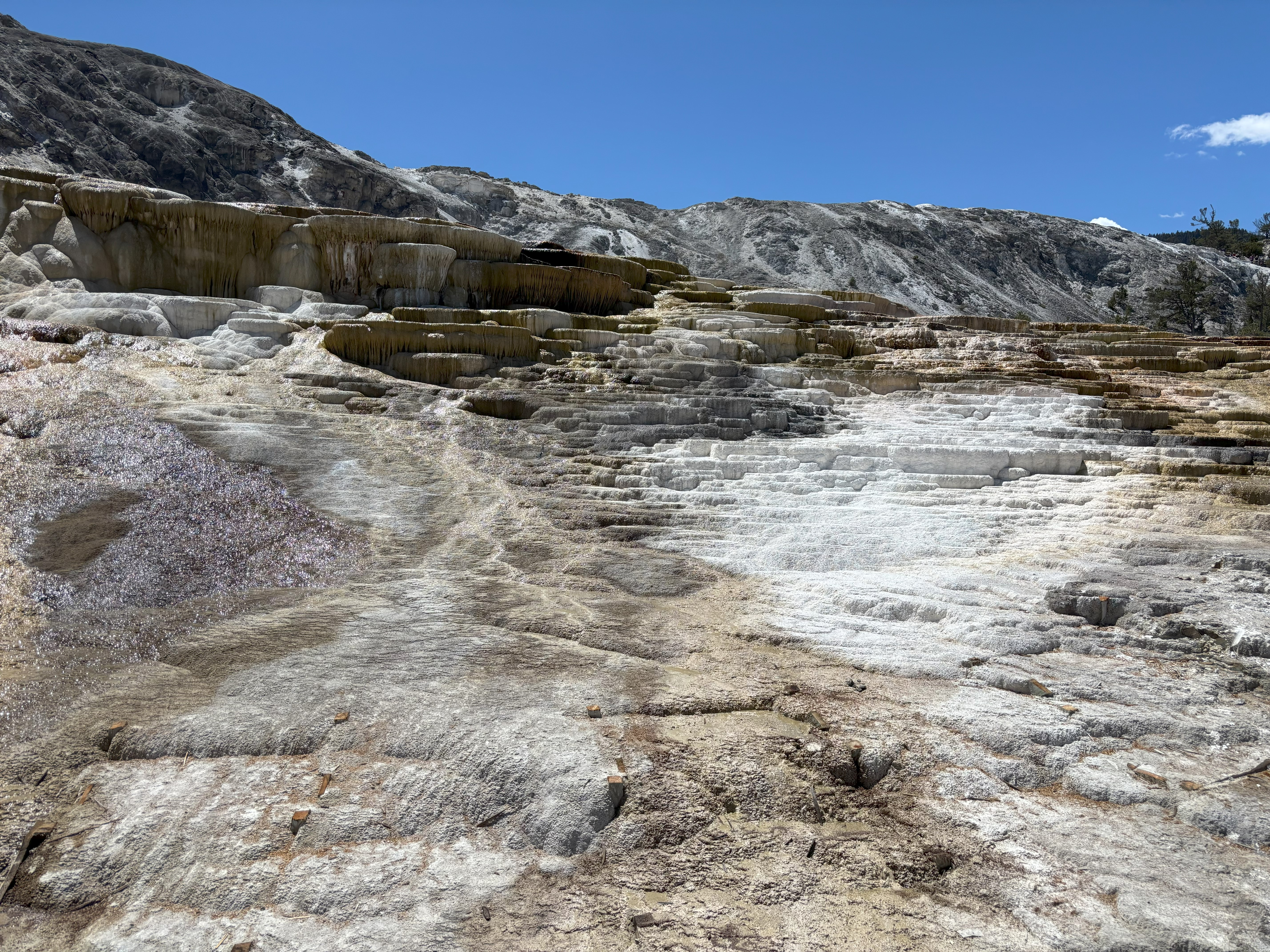 Photo 28 of Yellowstone