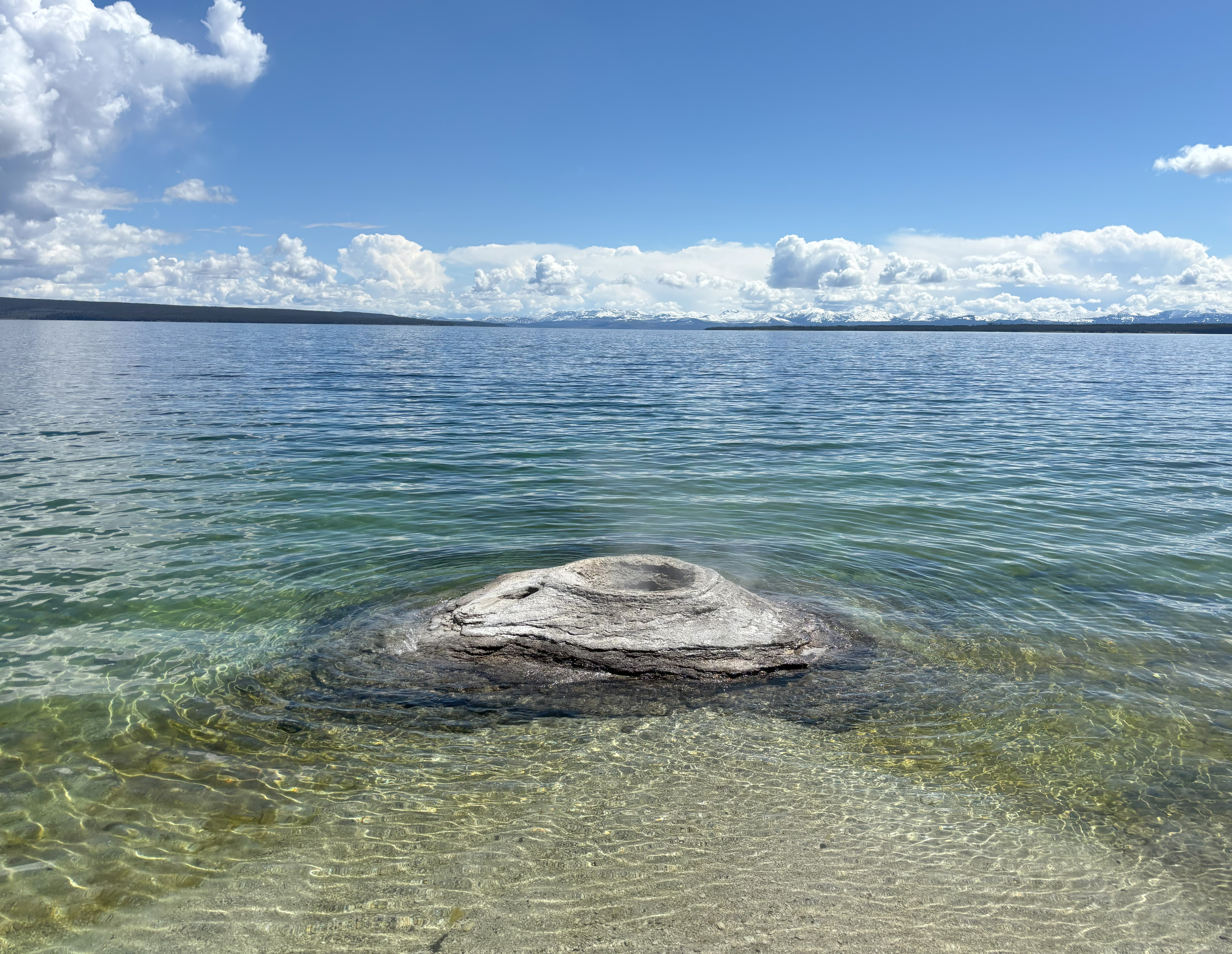 Photo 29 of Yellowstone